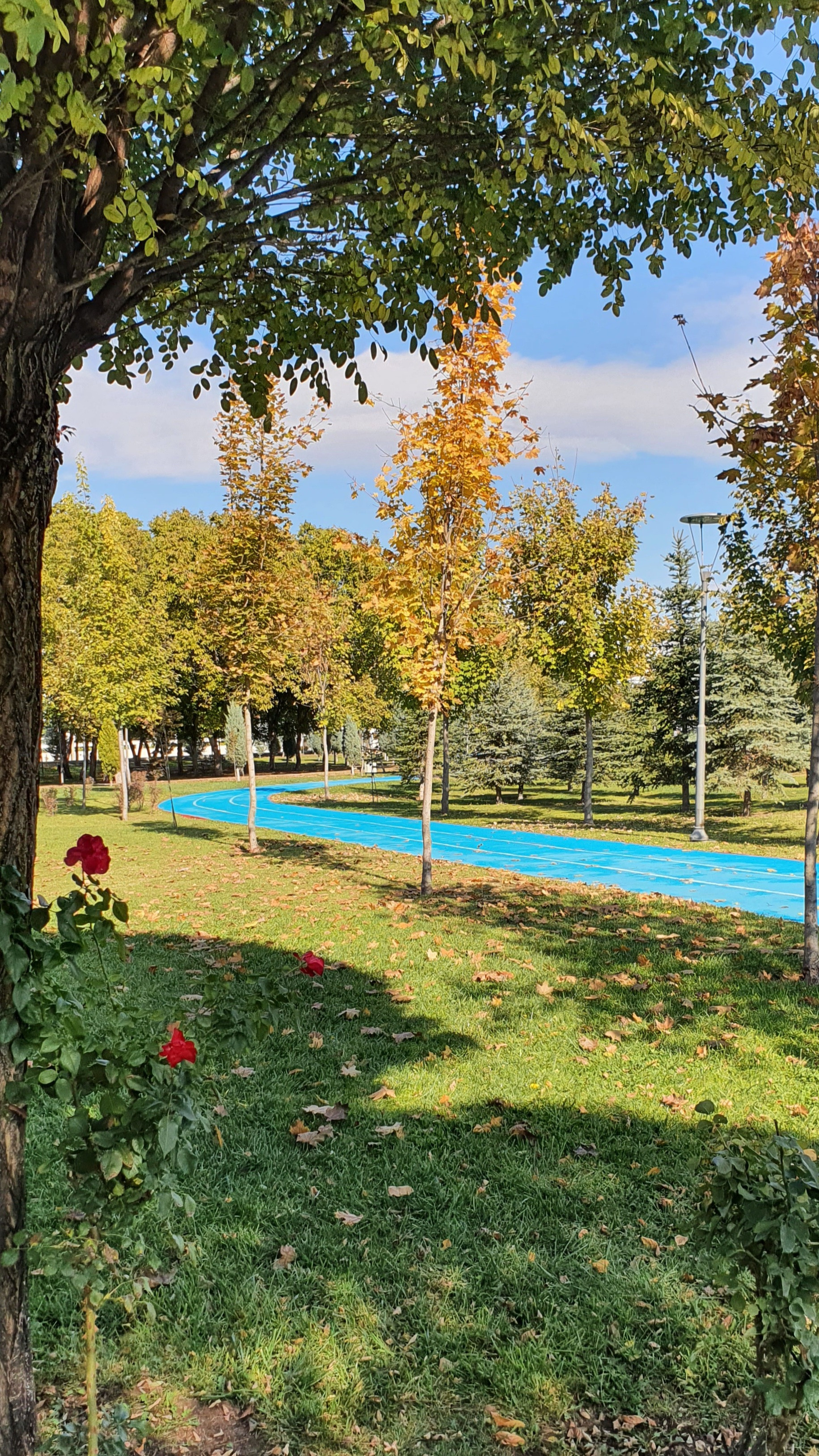 Street фото. Consultation on printing in various magazines, illustrations for books