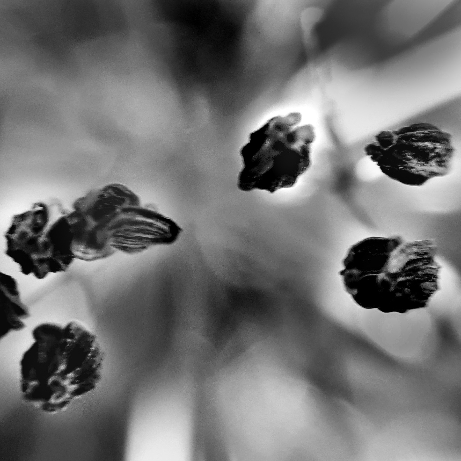 Abstractions and shadow. Consultation on printing in various magazines, illustrations for books