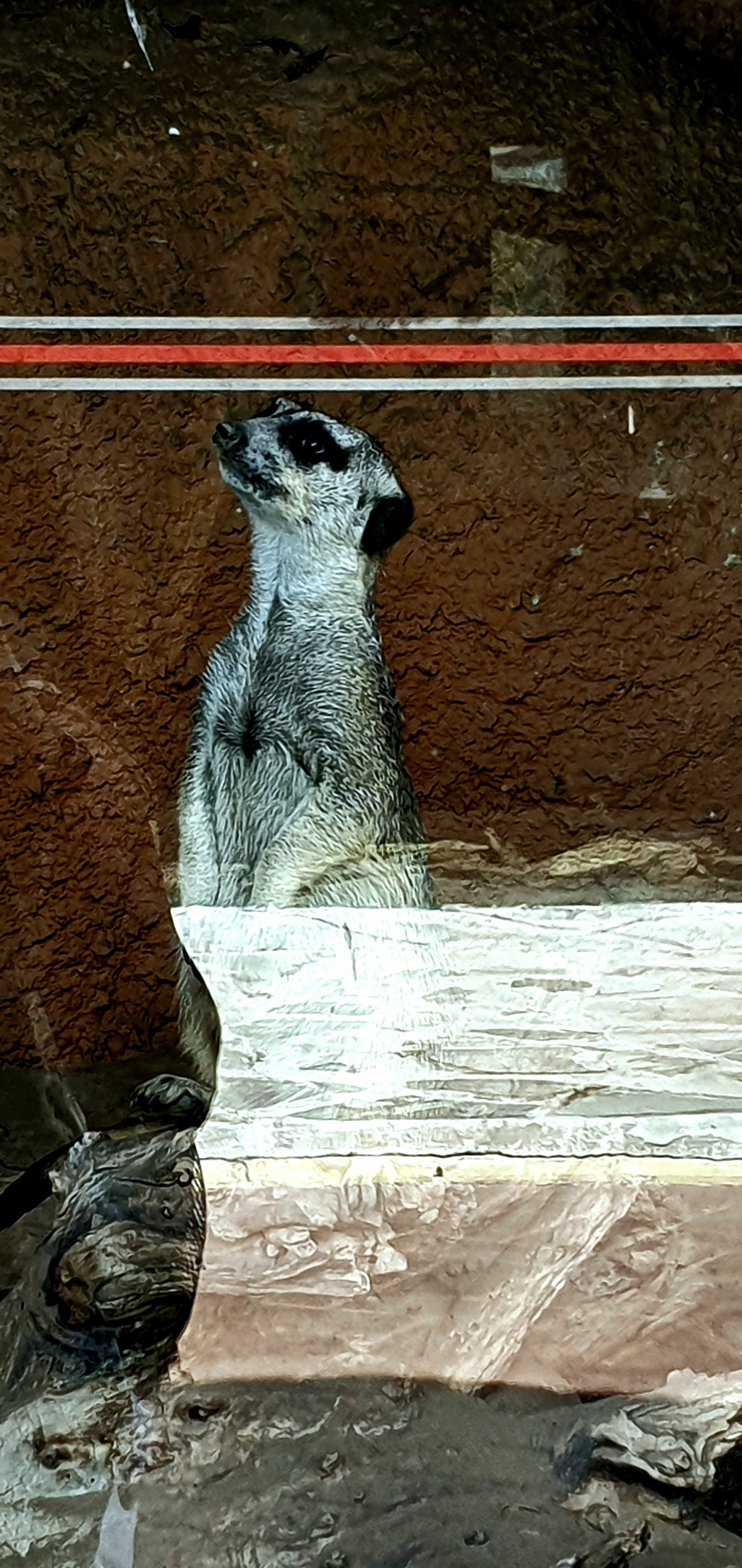 Street фото. Consultation on printing in various magazines, illustrations for books