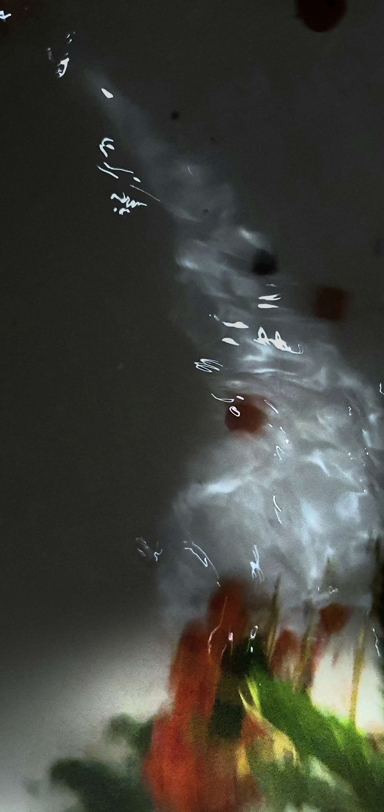 Abstractions and shadow. Consultation on printing in various magazines, illustrations for books