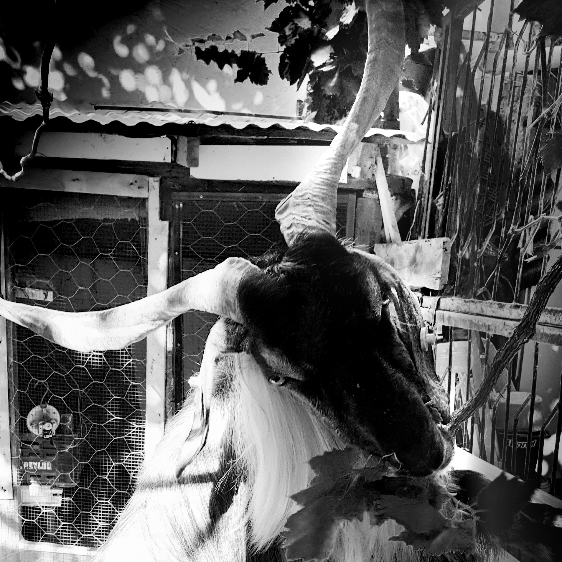 Street фото. Consultation on printing in various magazines, illustrations for books