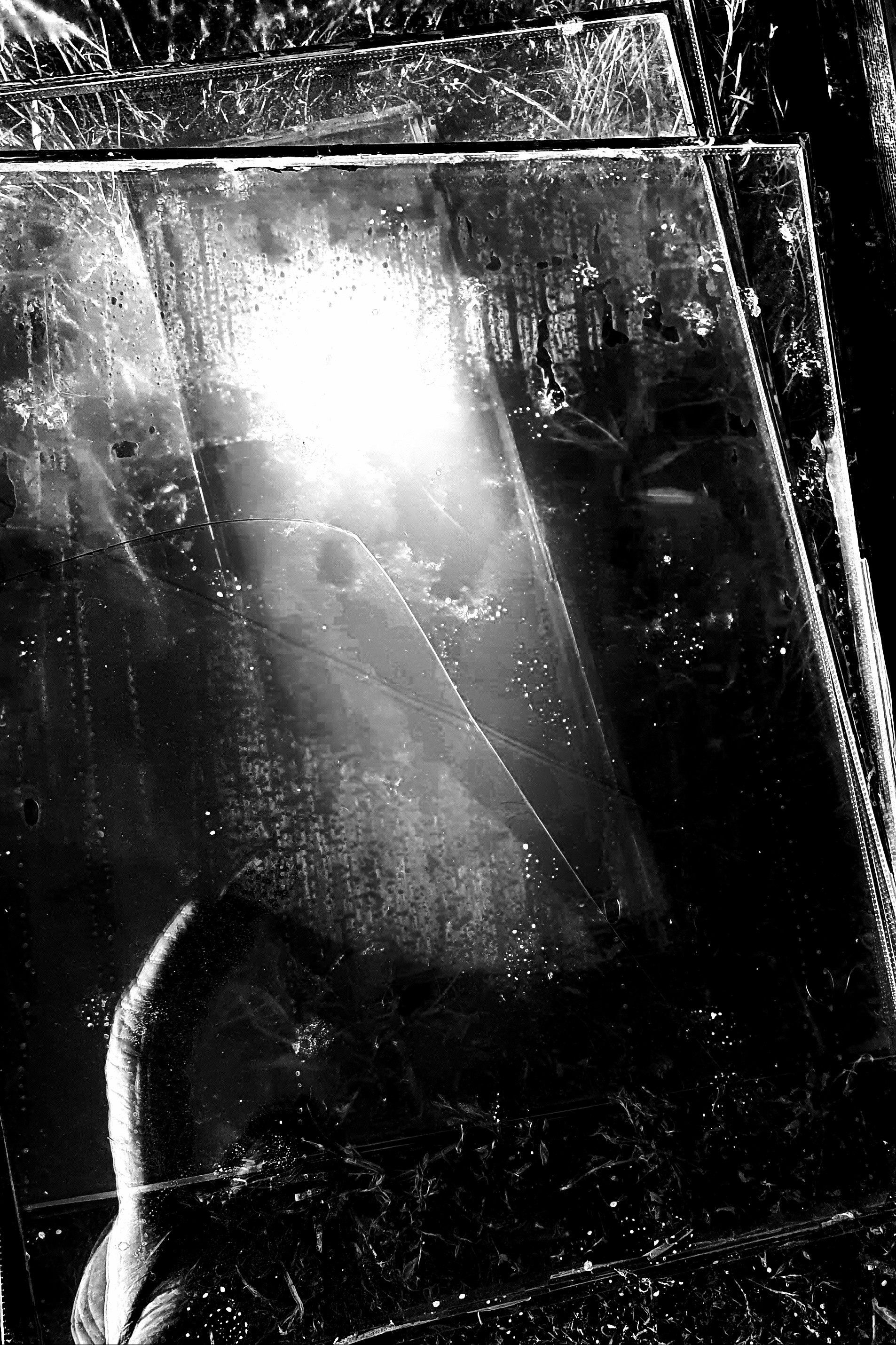 Abstractions and shadow. Consultation on printing in various magazines, illustrations for books