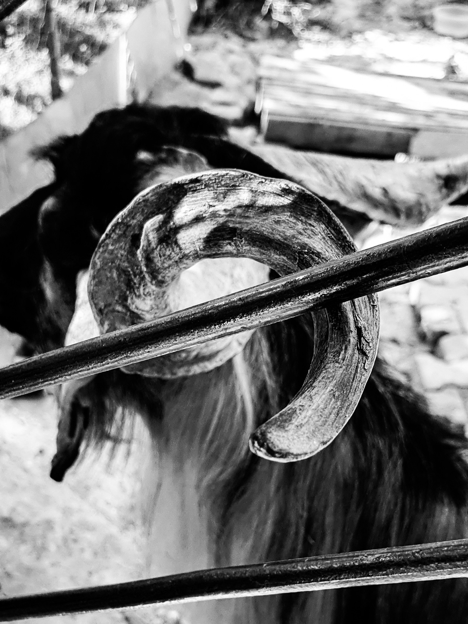 Street фото. Consultation on printing in various magazines, illustrations for books