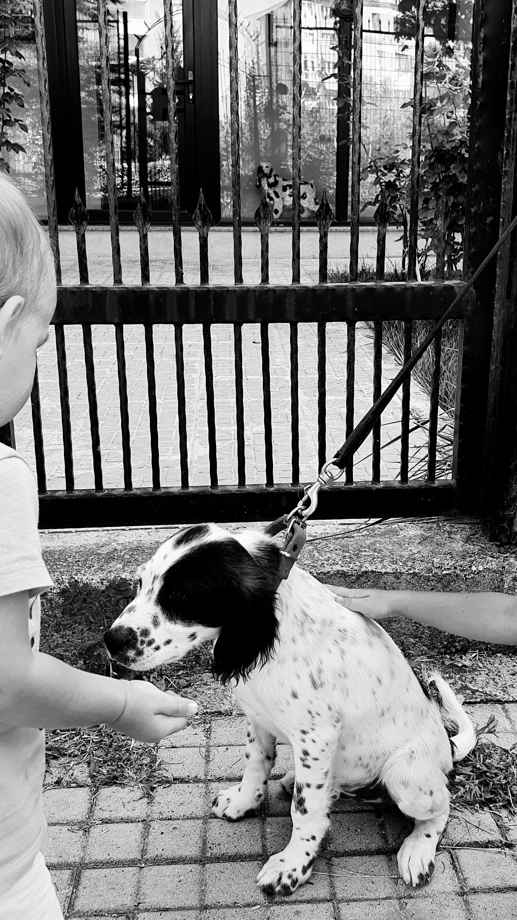 Street фото. Consultation on printing in various magazines, illustrations for books