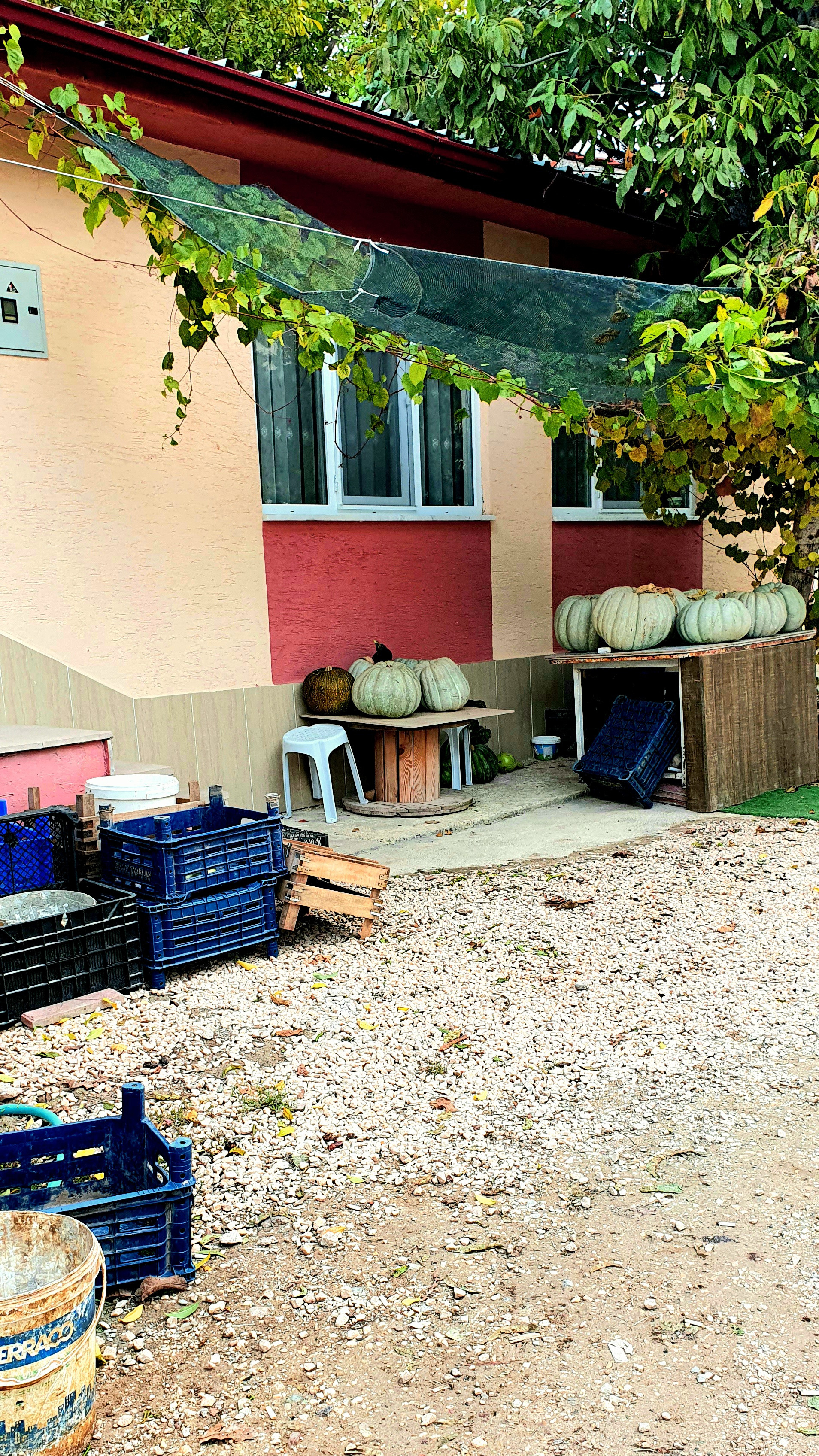 Street фото. Consultation on printing in various magazines, illustrations for books