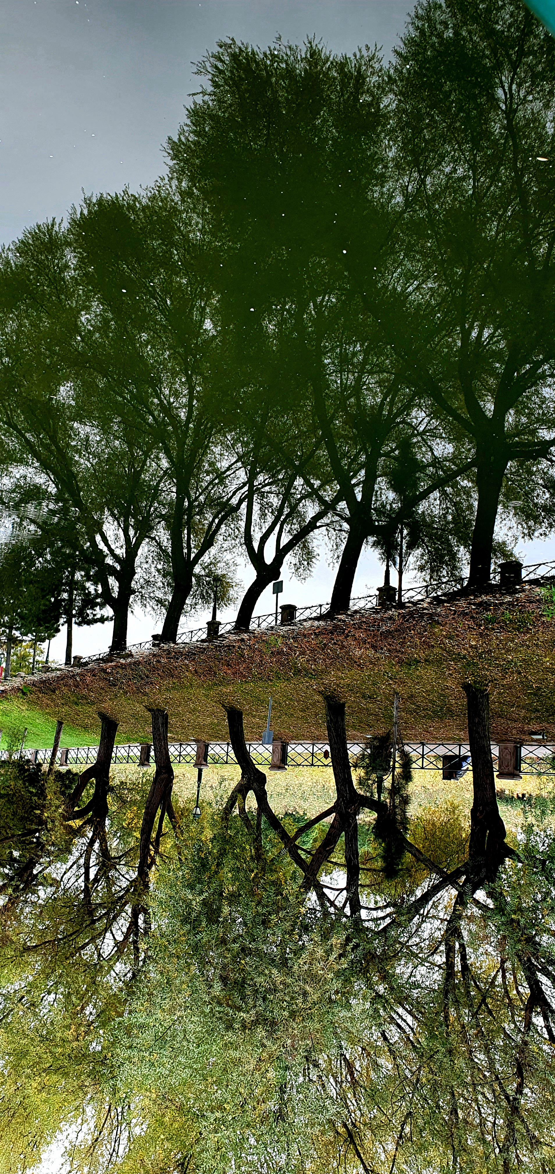 Street фото. Consultation on printing in various magazines, illustrations for books