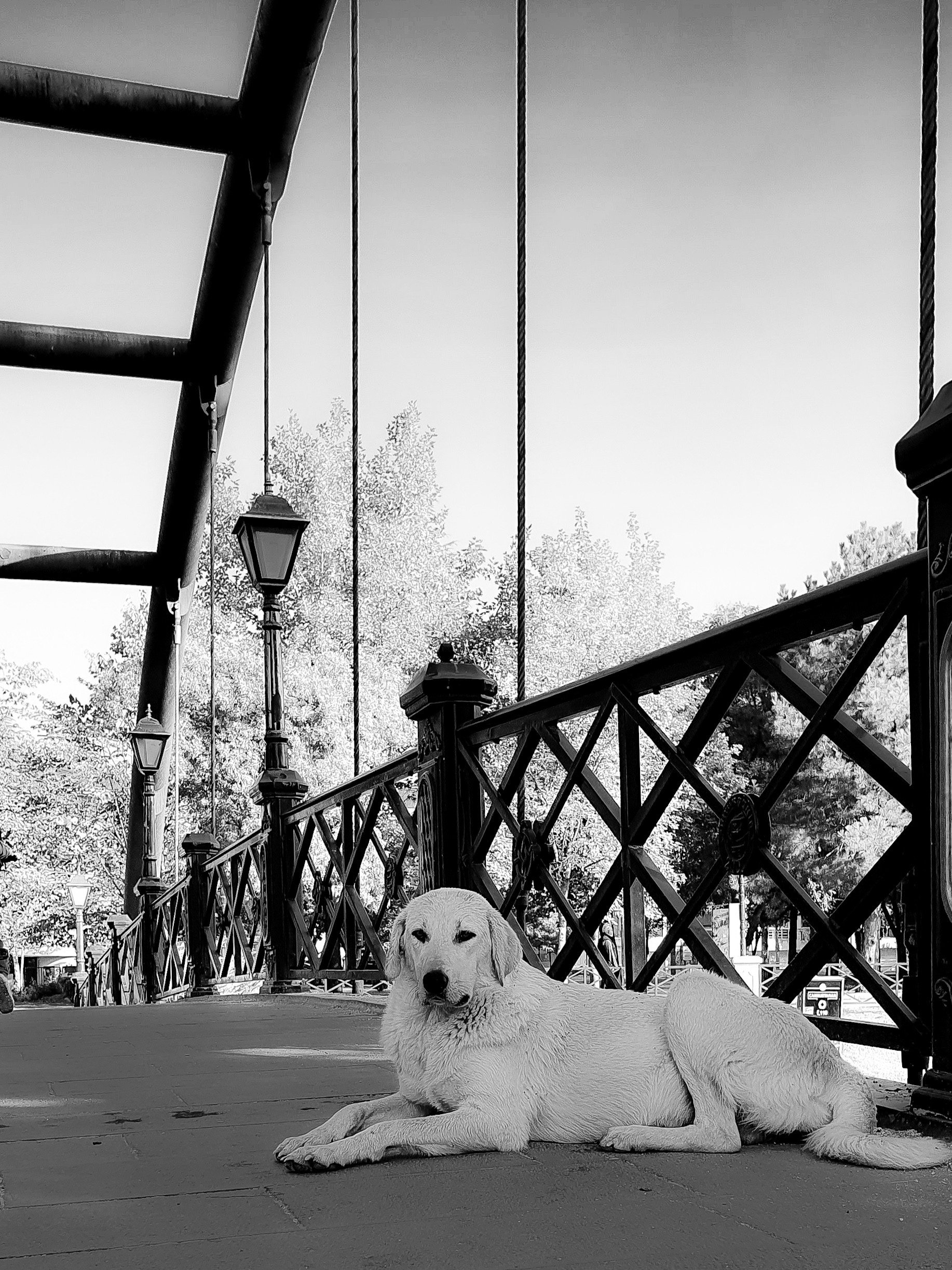 Street фото. Consultation on printing in various magazines, illustrations for books