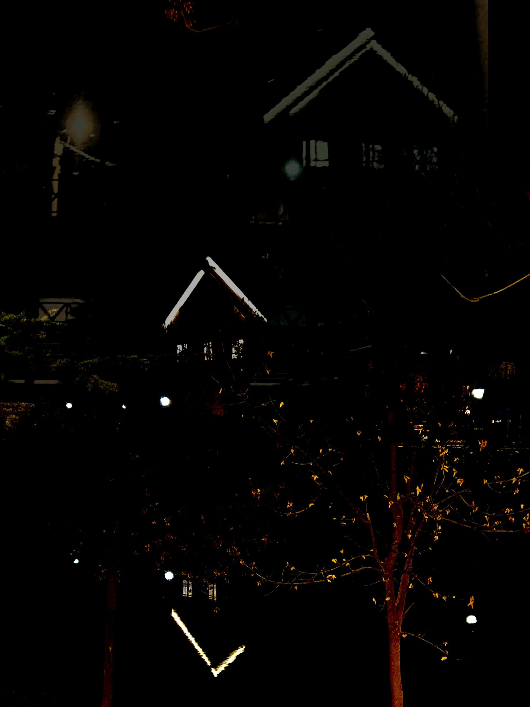 Abstractions and shadow. Consultation on printing in various magazines, illustrations for books