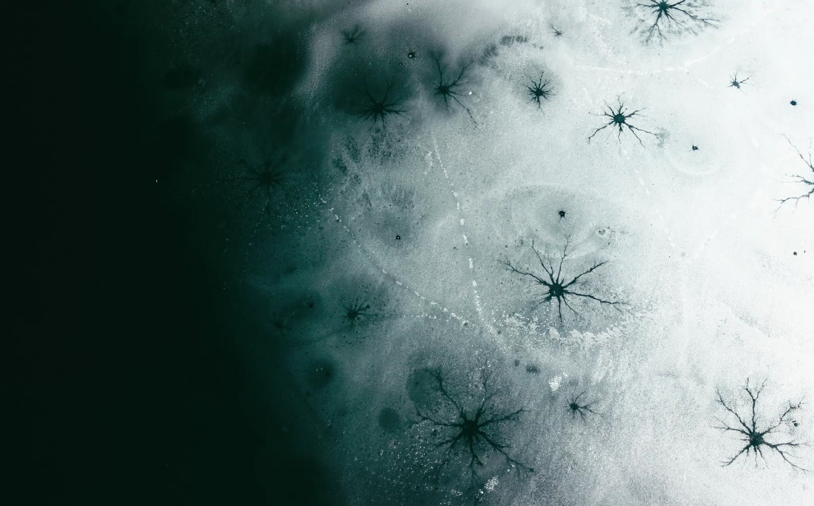 Photographer in Tbilisi