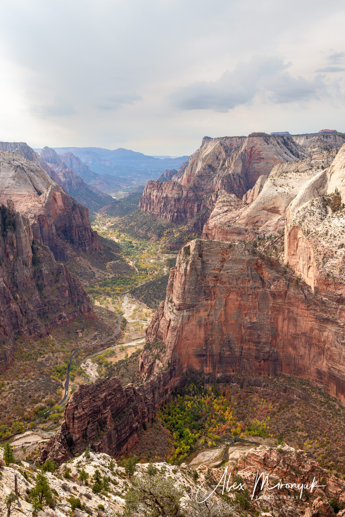 New Year In Utah. Pet, Senior, Landscape, portrait studio, photographer in Miami and Sou