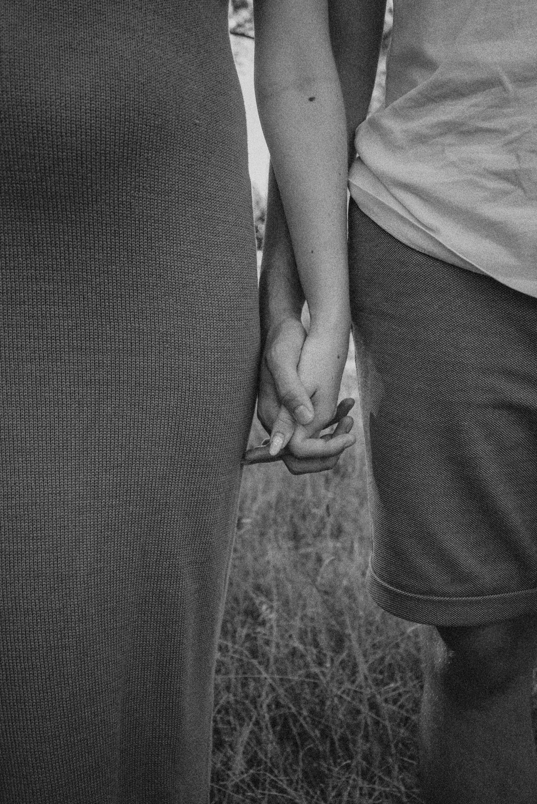 V&Y. Семейный фотограф. Сербия. Нови-Сад. Белград