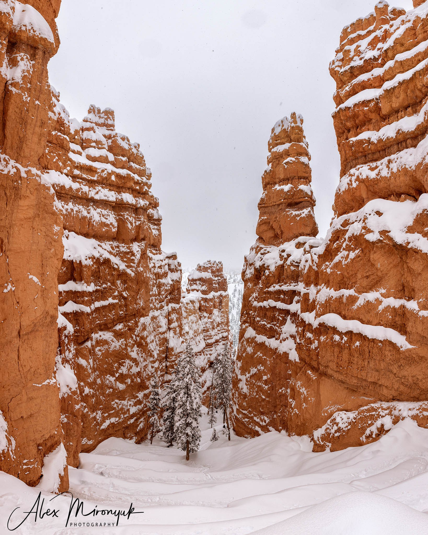 New Year In Utah. Pet, Senior, Landscape, portrait studio, photographer in Miami and Sou