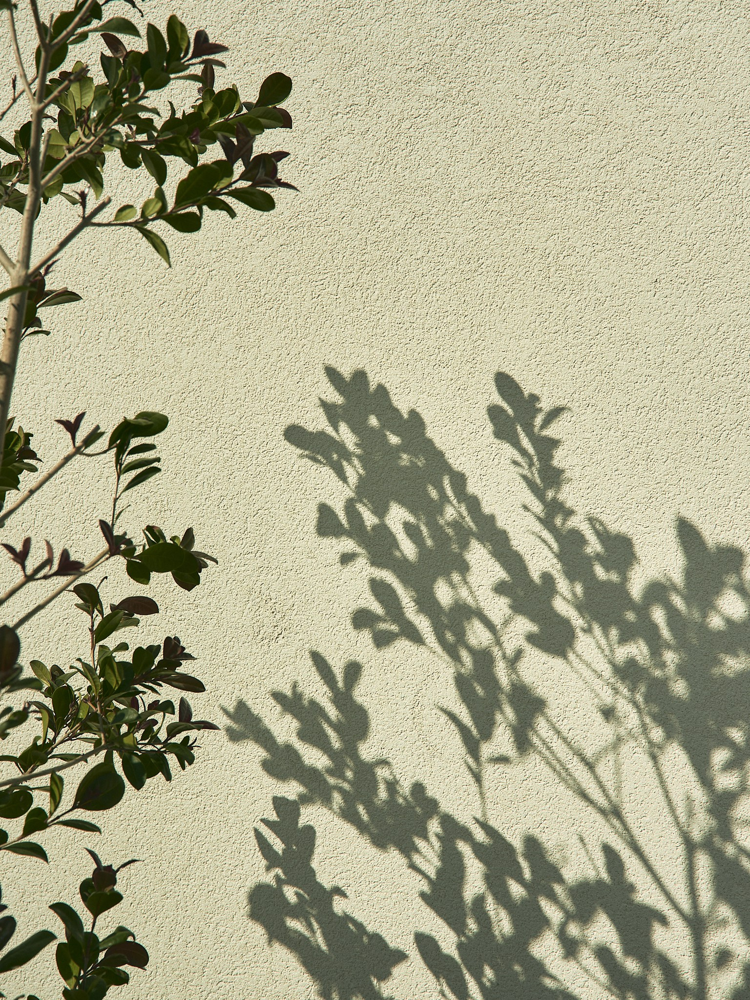 Content | Food | Objects. Alyona Nikolaeva — fotografo a Lecce