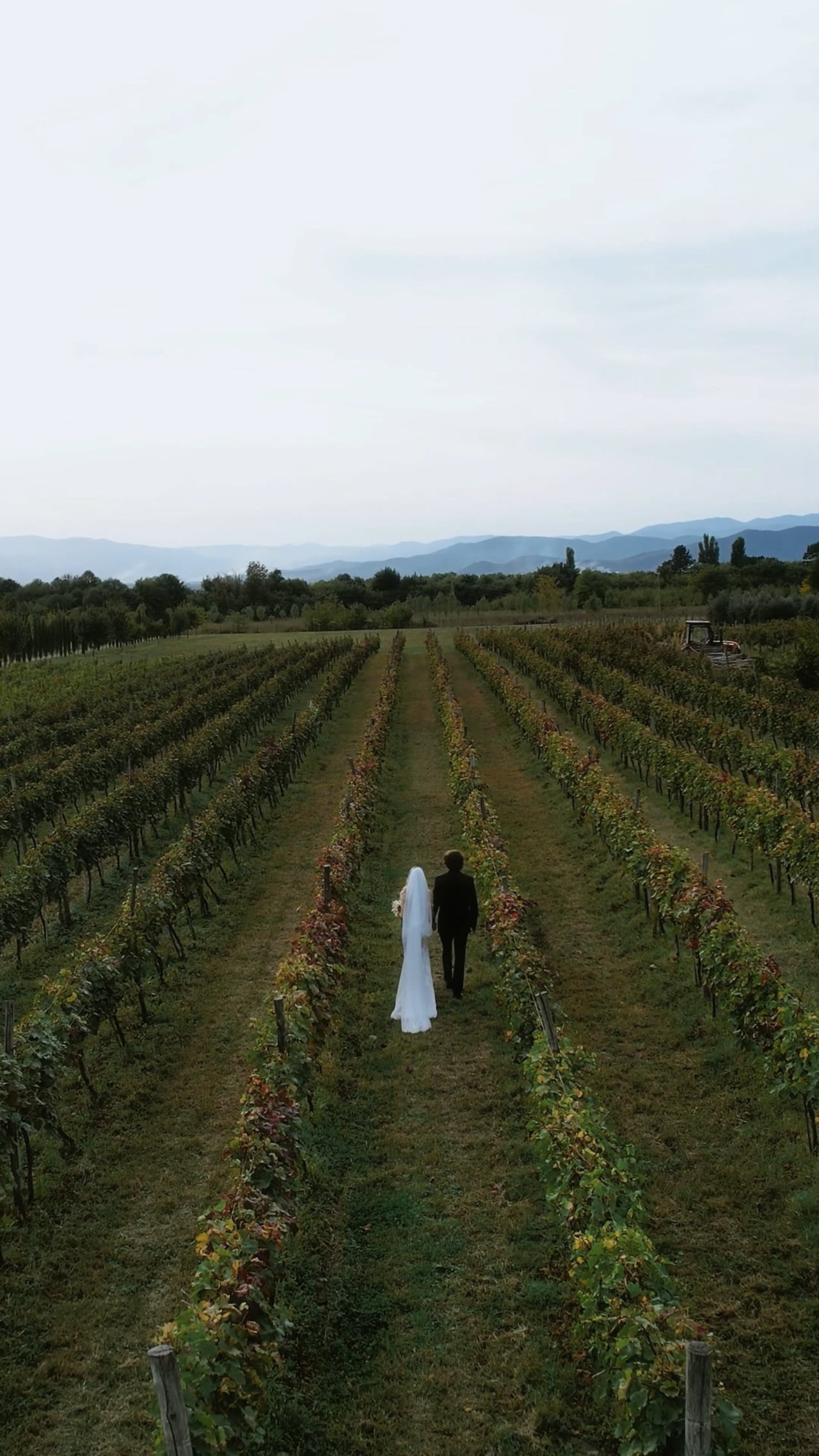 Wedding video in Georgia, свадебное видео в Грузии. Wedding videographer in Georgia Mark Deych