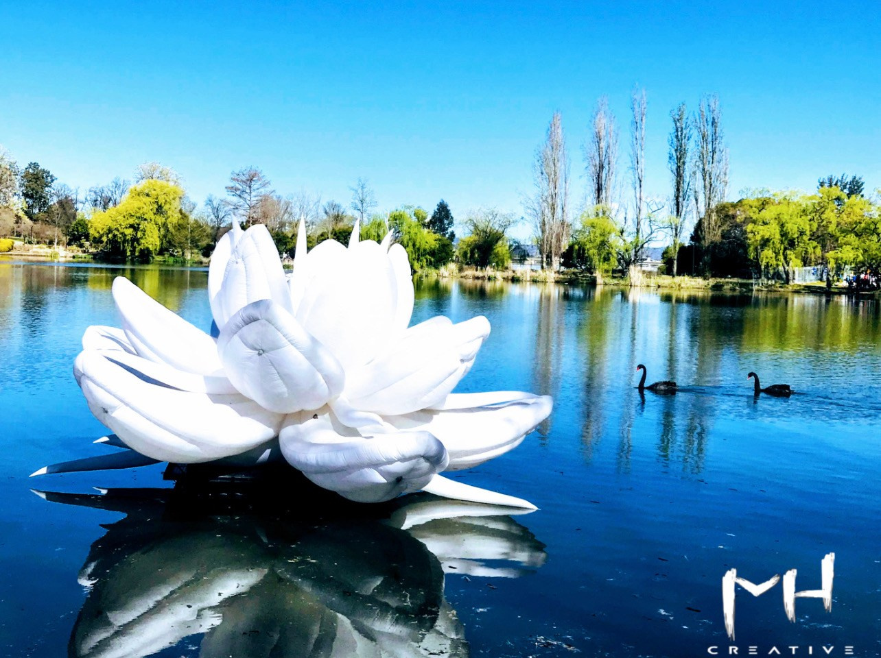 WallMuse. MHCreative is family-oriented photographer based in SYDNEY