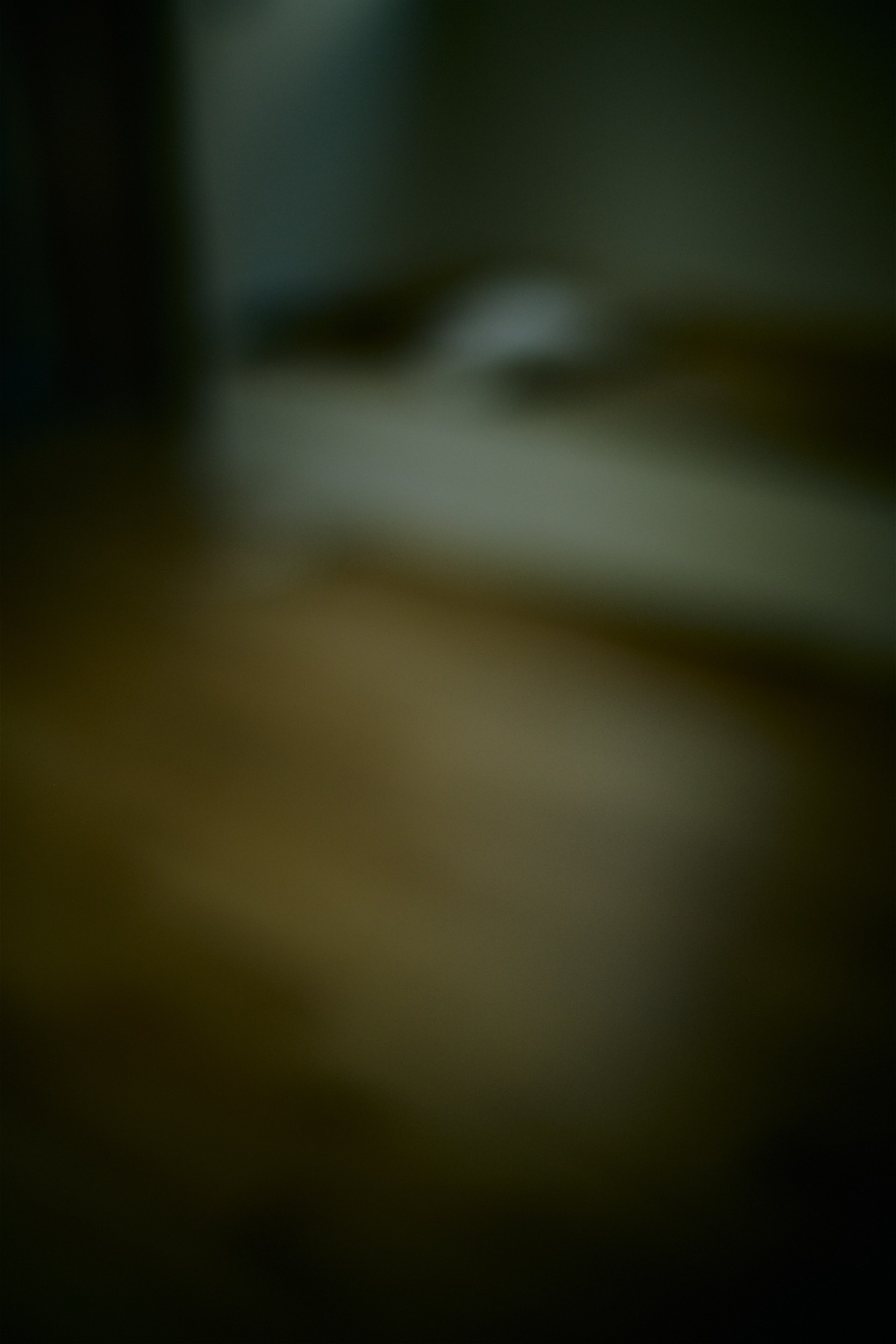 緑のキュロット  (Work in Progress). MT