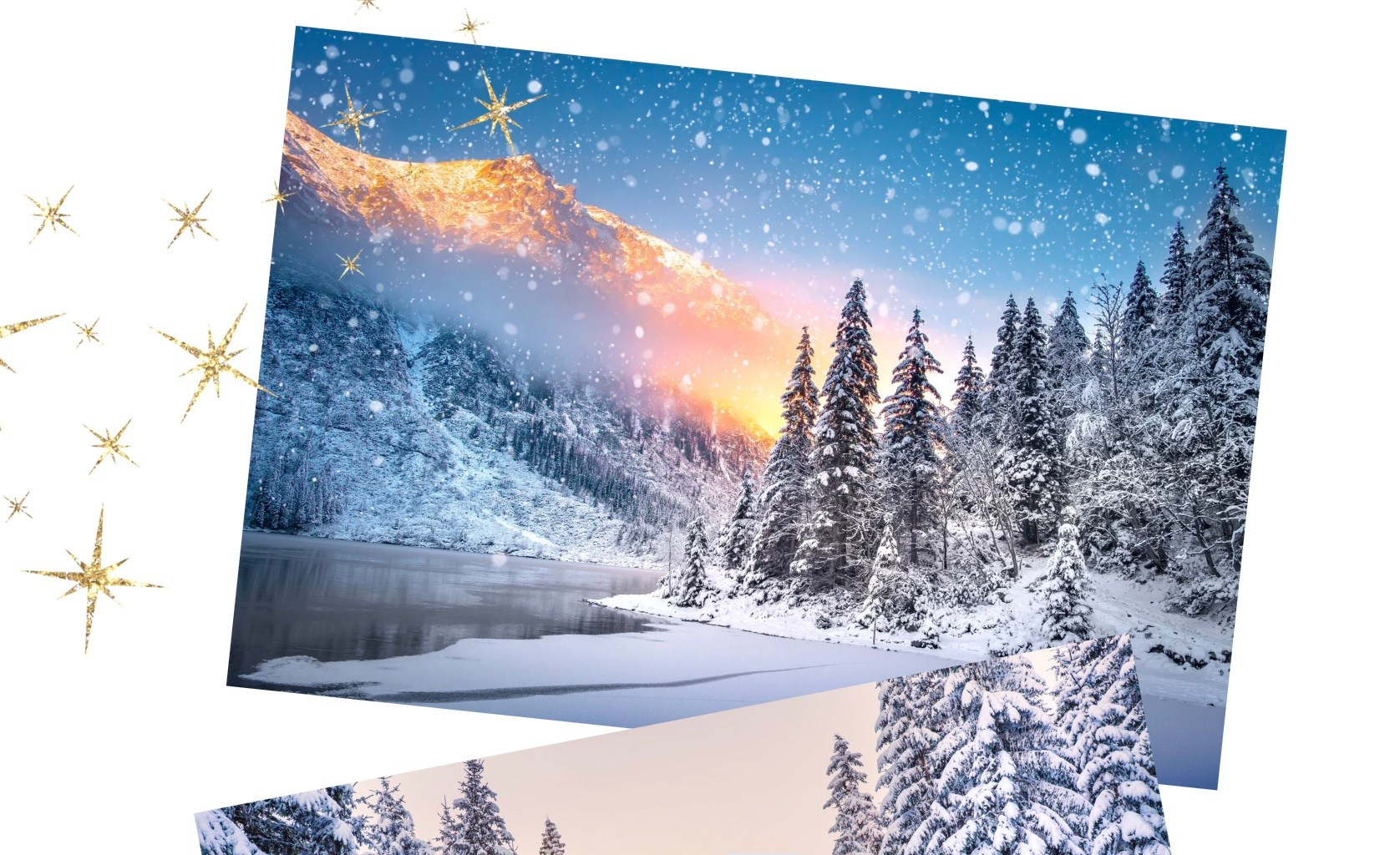 Weihnachts-Fotoshooting in Freiburg. Fotograf in Freiburg, Meerim Kaufmann