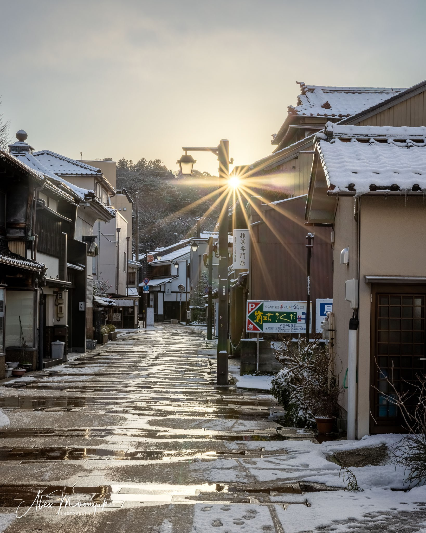 Winter Japan: Snow Monkeys, Castles & Timeless Villages. Pet, Senior, Landscape, portrait studio, photographer in Miami and Sou