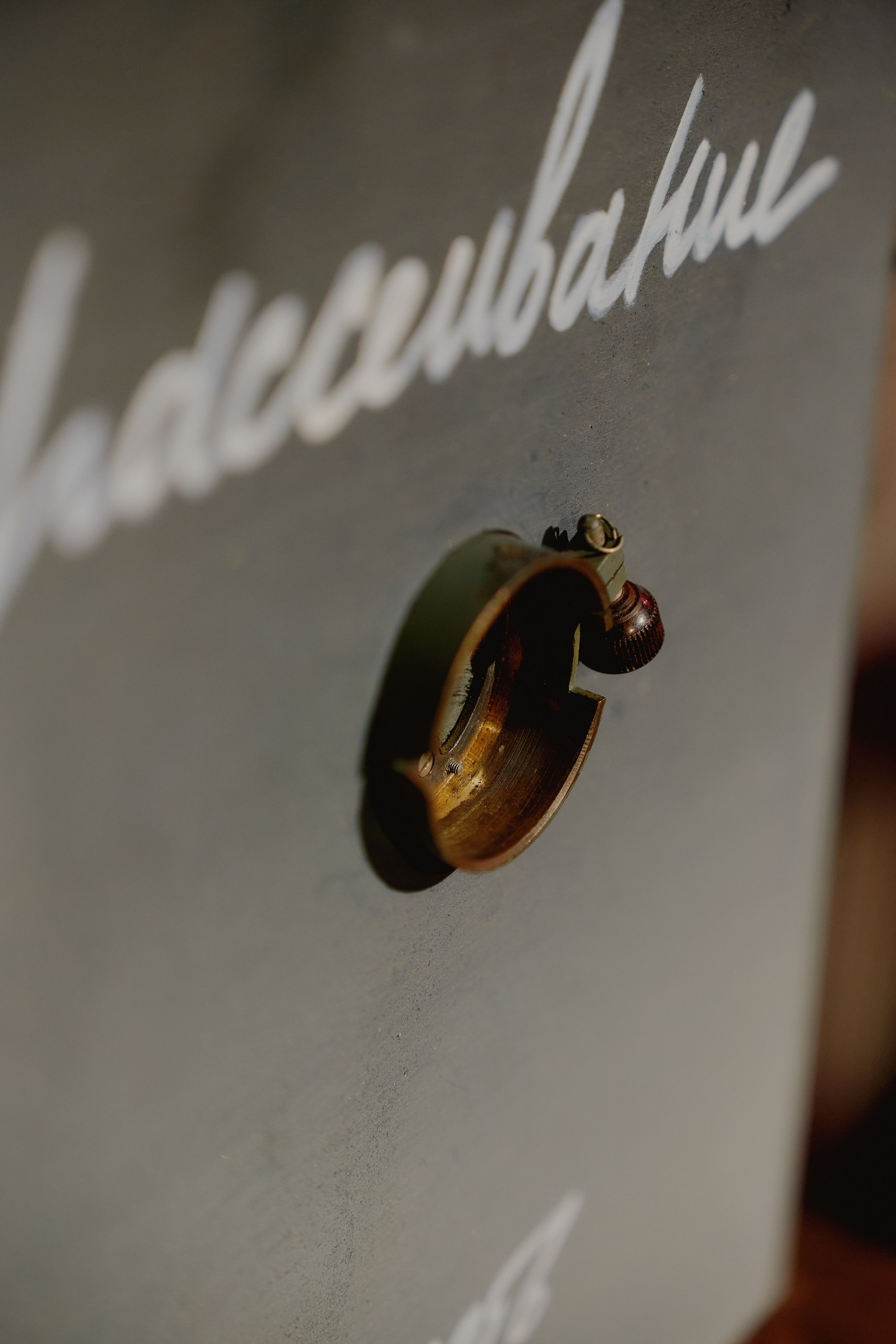 Spira mirabilis| Удивительная спираль. Alina Kugush