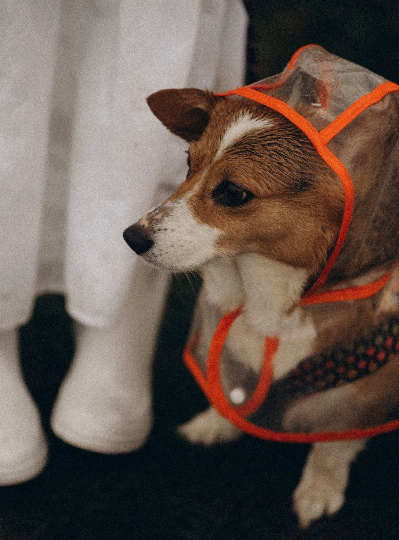 Vancouver Photographer | Catherine Vashchenko