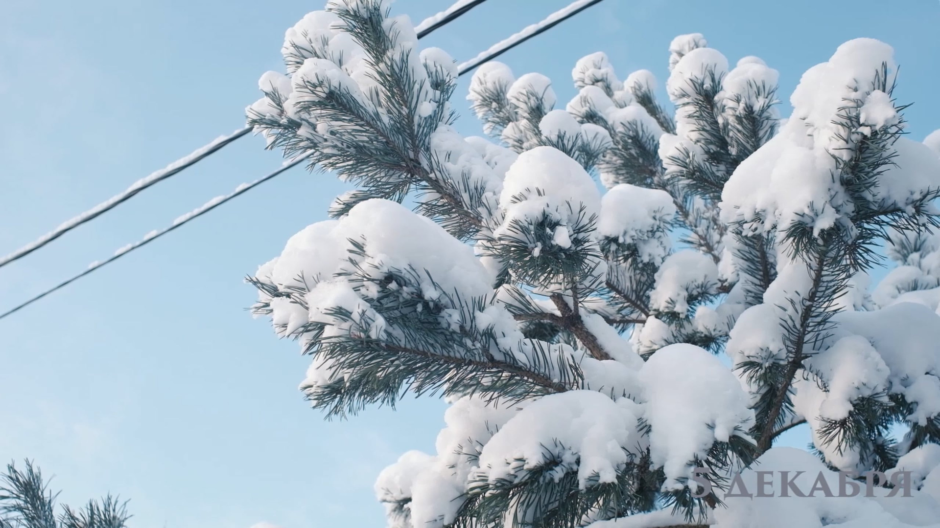 Семейное кино. Семейный фотограф и видеограф в Эстонии Анна Оя