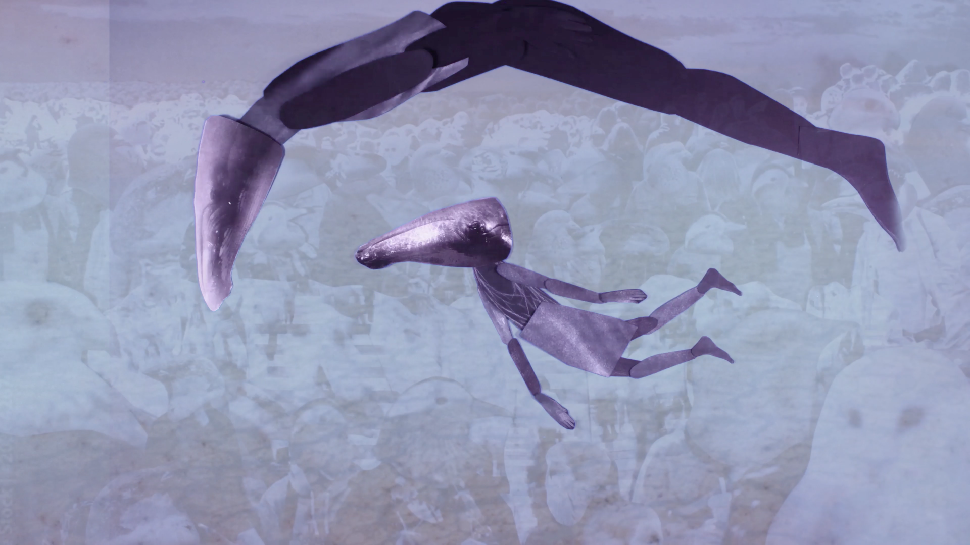 Animations. Artist, photographer, graphic designer, dreamer