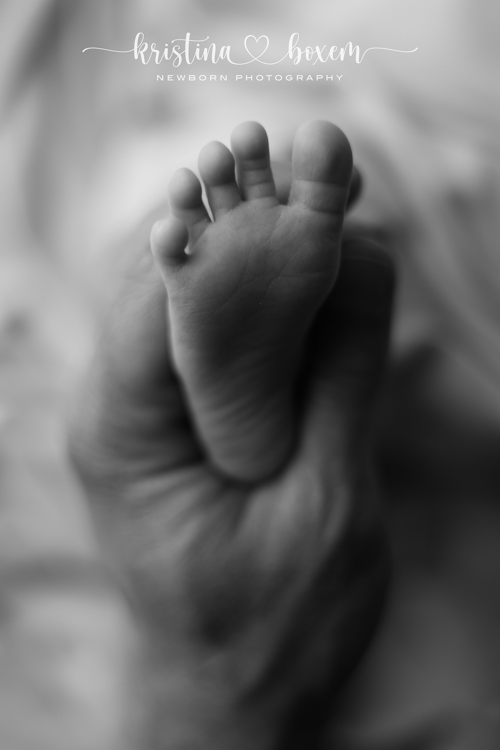 Detailfoto van een pasgeboren baby met kleine, zachte handjes in de handen van mama tijdens een rustige en professionele newborn fotoshoot in mijn warme studio in Oosterhout.