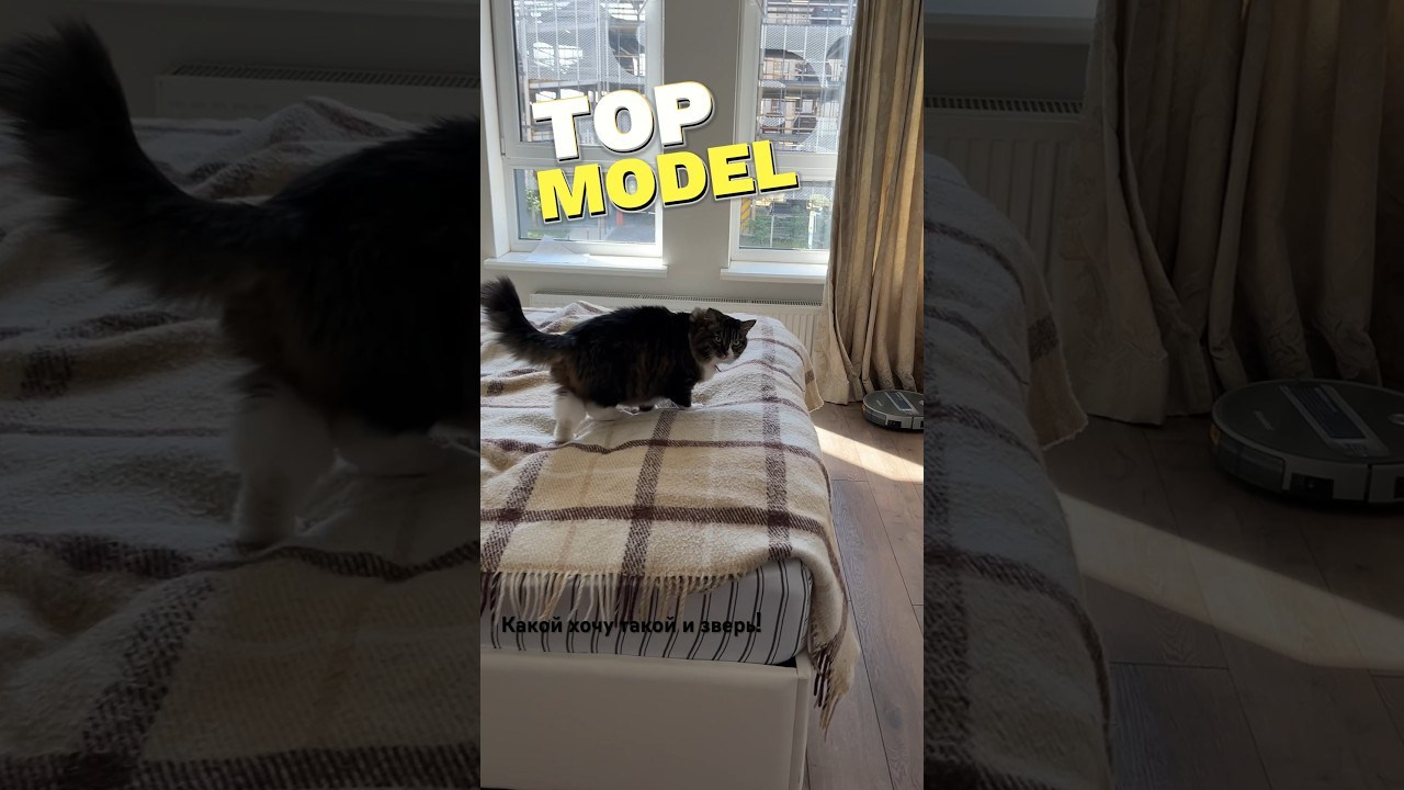 Мастер класс «Какой хочу, такой и зверь». Школа современного искусства Лени Сморагдовой