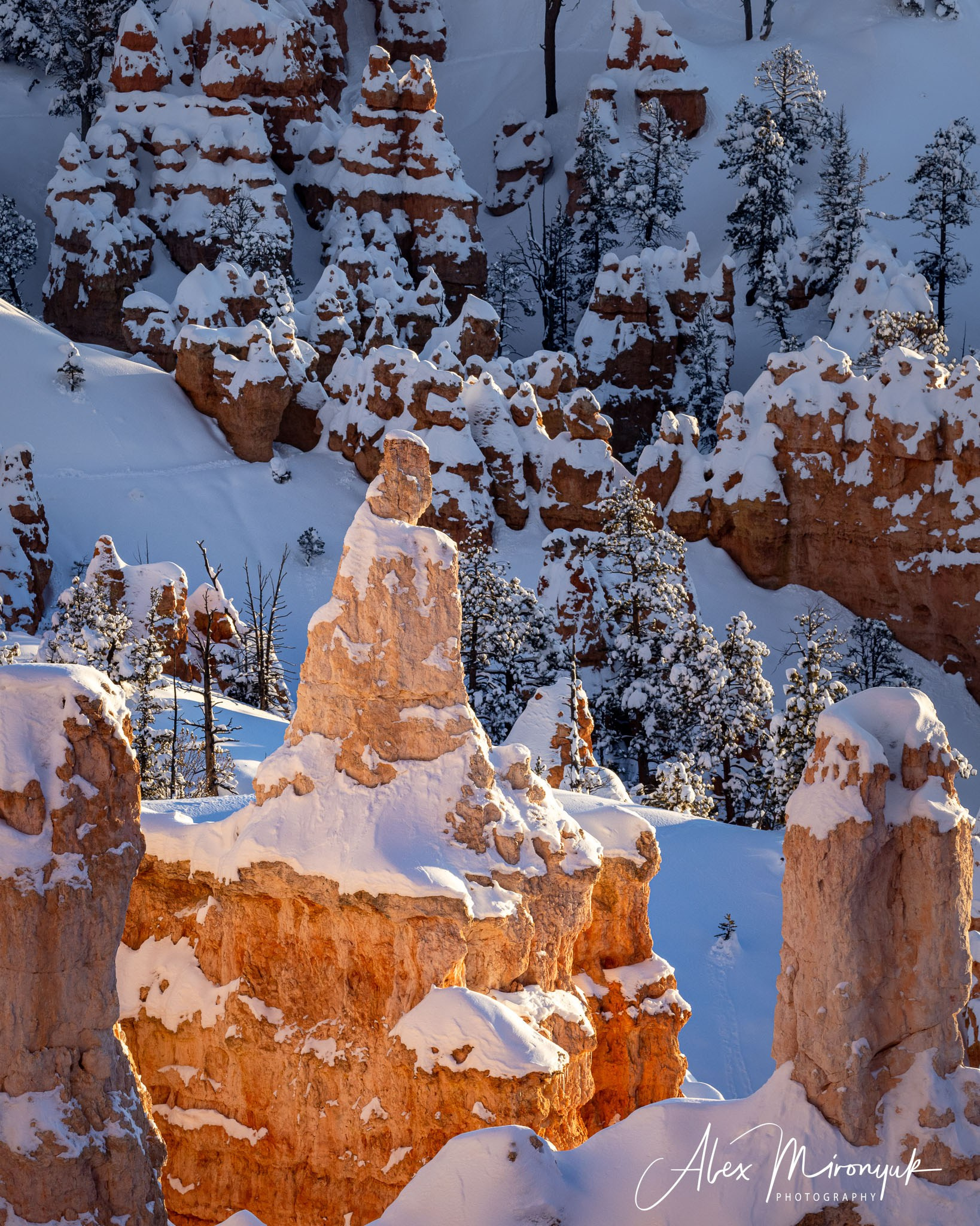 New Year In Utah. Pet, Senior, Landscape, portrait studio, photographer in Miami and Sou