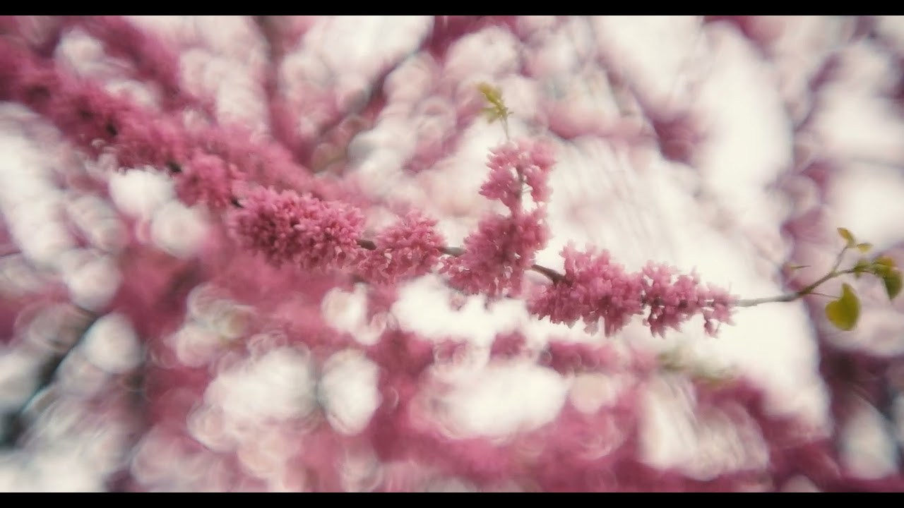 Custom Modified Lens 72mm f1.85 + Fuji 100s GFX. Emin Kuliyev — Award-Winning Wedding Photojournalist NYC & USA | Best Wedding Photographer Known for Candid, Timeless Moments