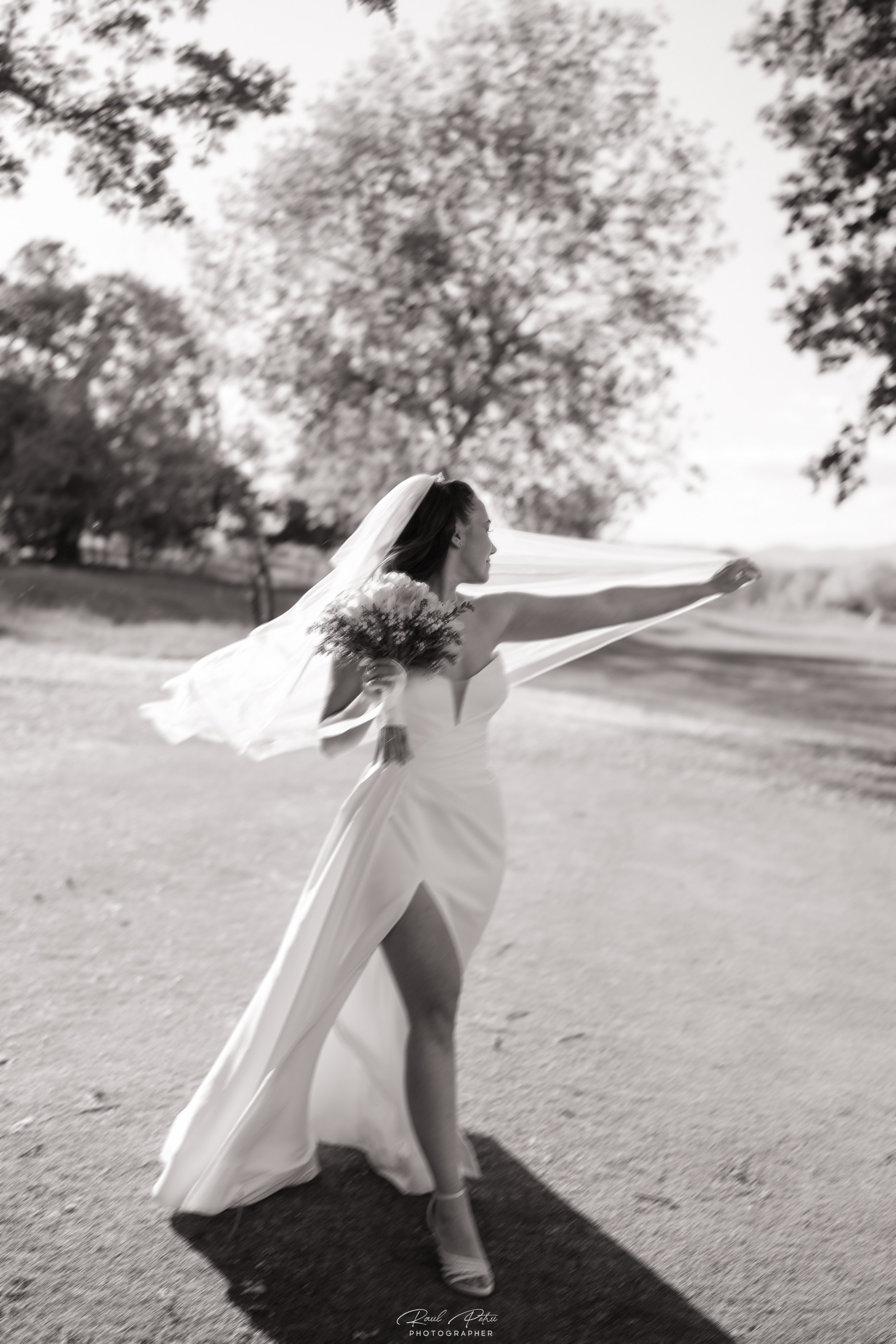 Raul Petru Photographer