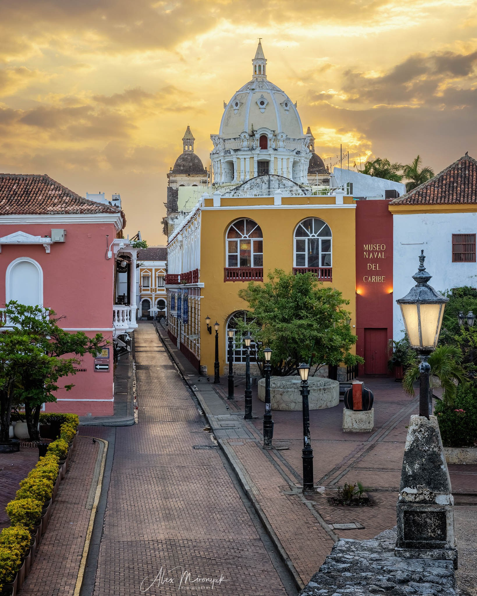 Colombia in Style. Pet, Senior, Landscape, portrait studio, photographer in Miami and Sou