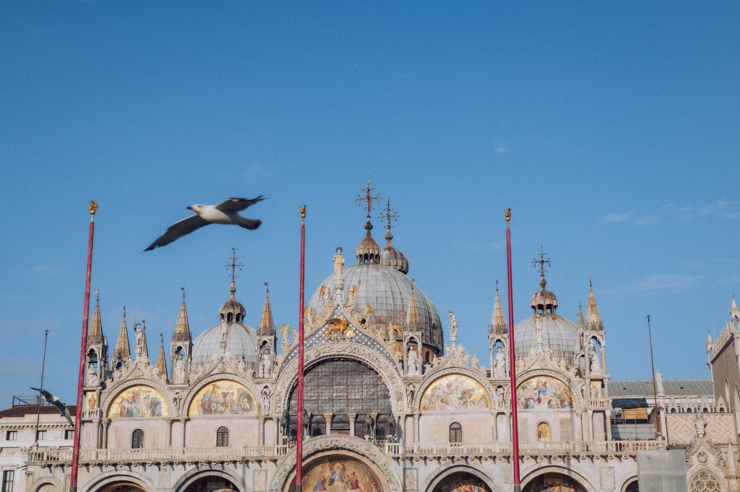 From Venice with Love. Anastasiia Buchinskaia Fotografa Milano