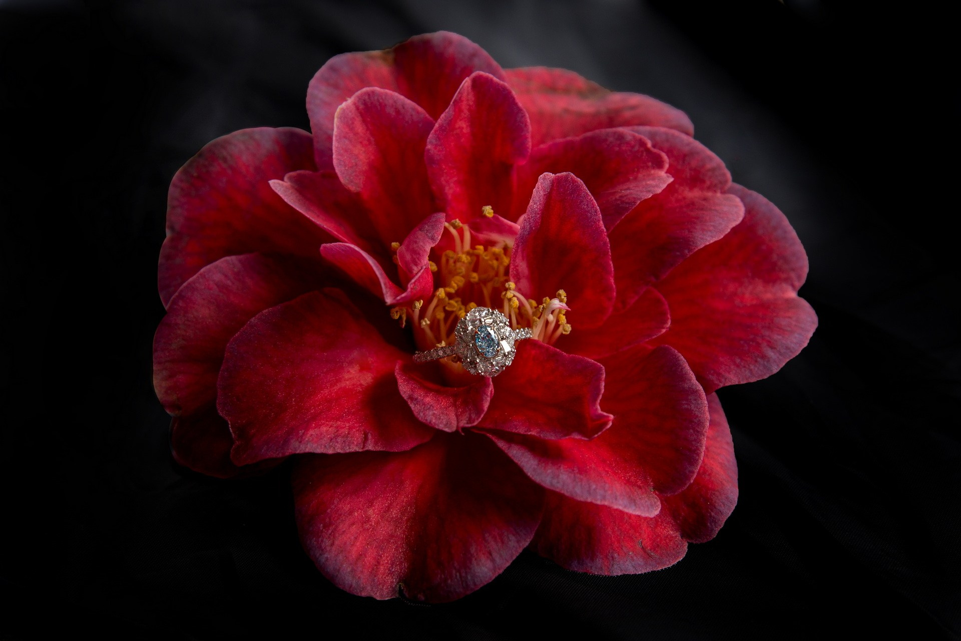 CUSTOM MADE Jewelry by Yoka Iizuka. YOKA IIZUKA | State-of-the-Art Jewelry Masterpieces