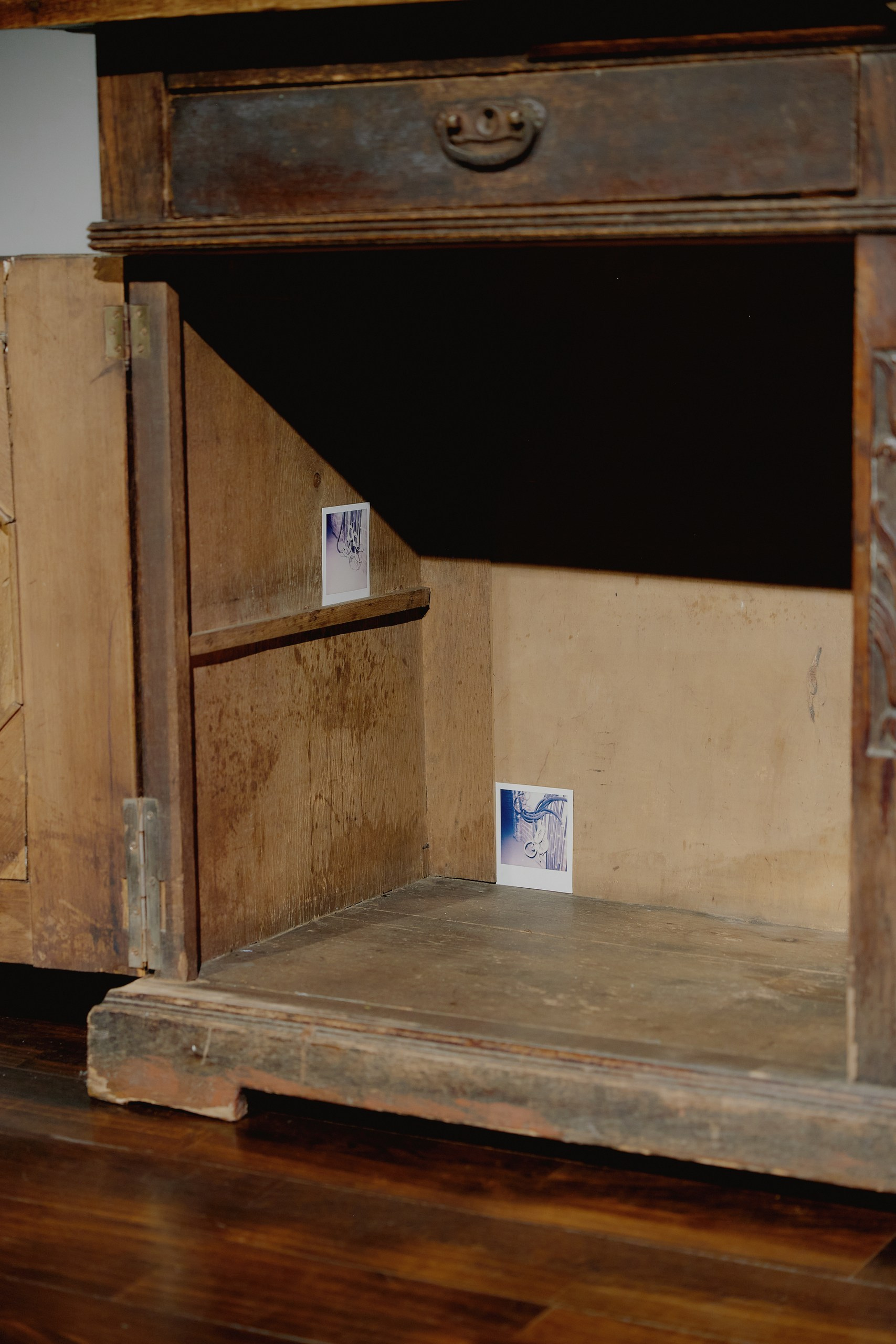 Spira mirabilis| Удивительная спираль. Alina Kugush