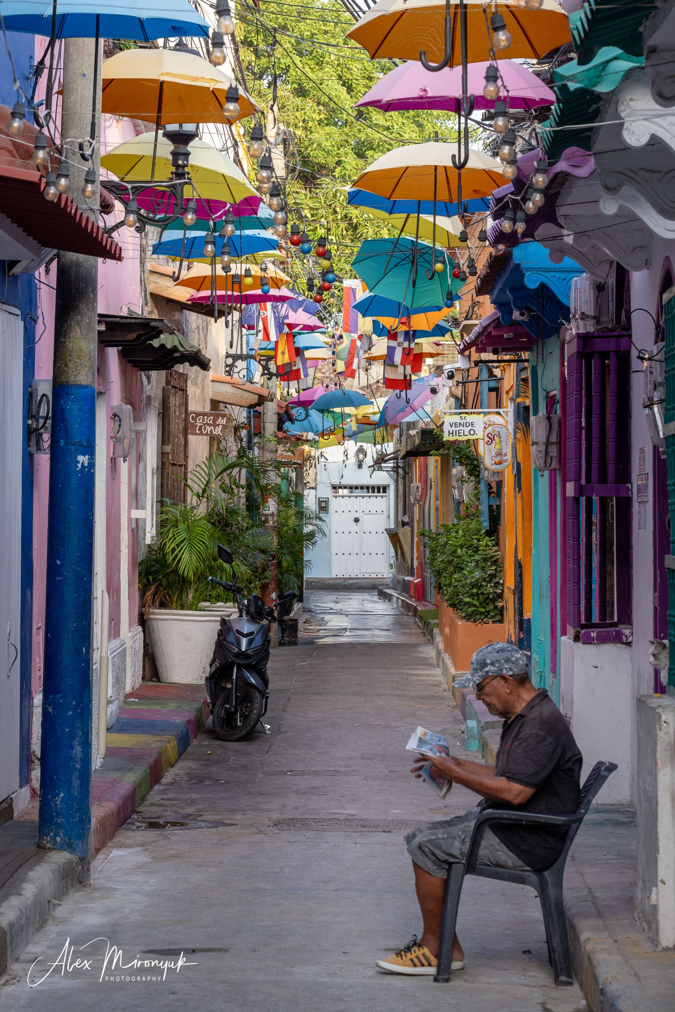 Colombia in Style. Pet, Senior, Landscape, portrait studio, photographer in Miami and Sou