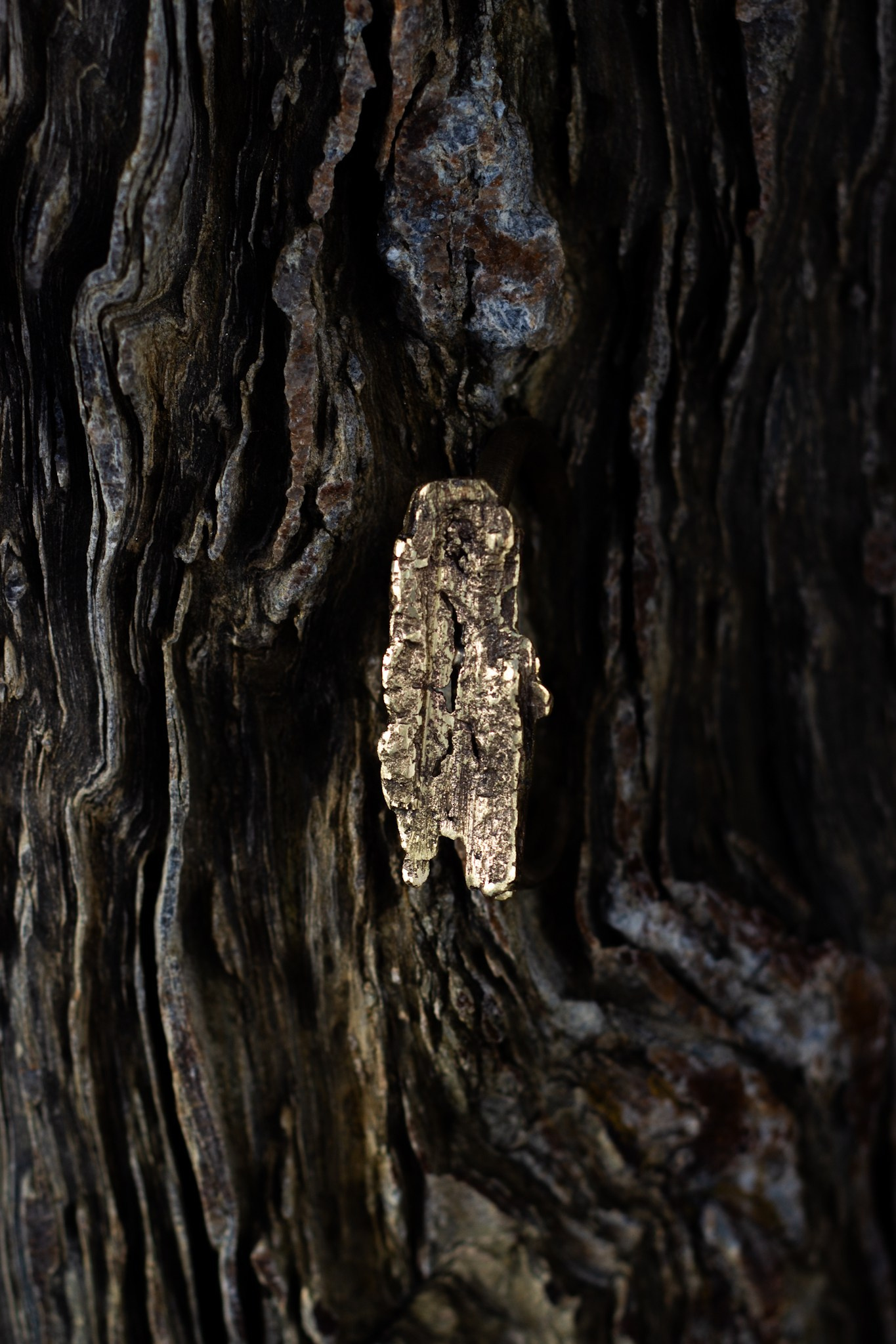 GA·DASHI | MULTIDISCIPLINARY ART
