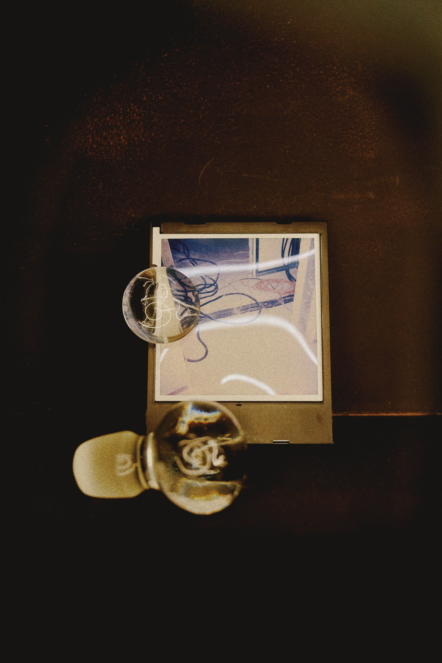 Spira mirabilis| Удивительная спираль. Alina Kugush