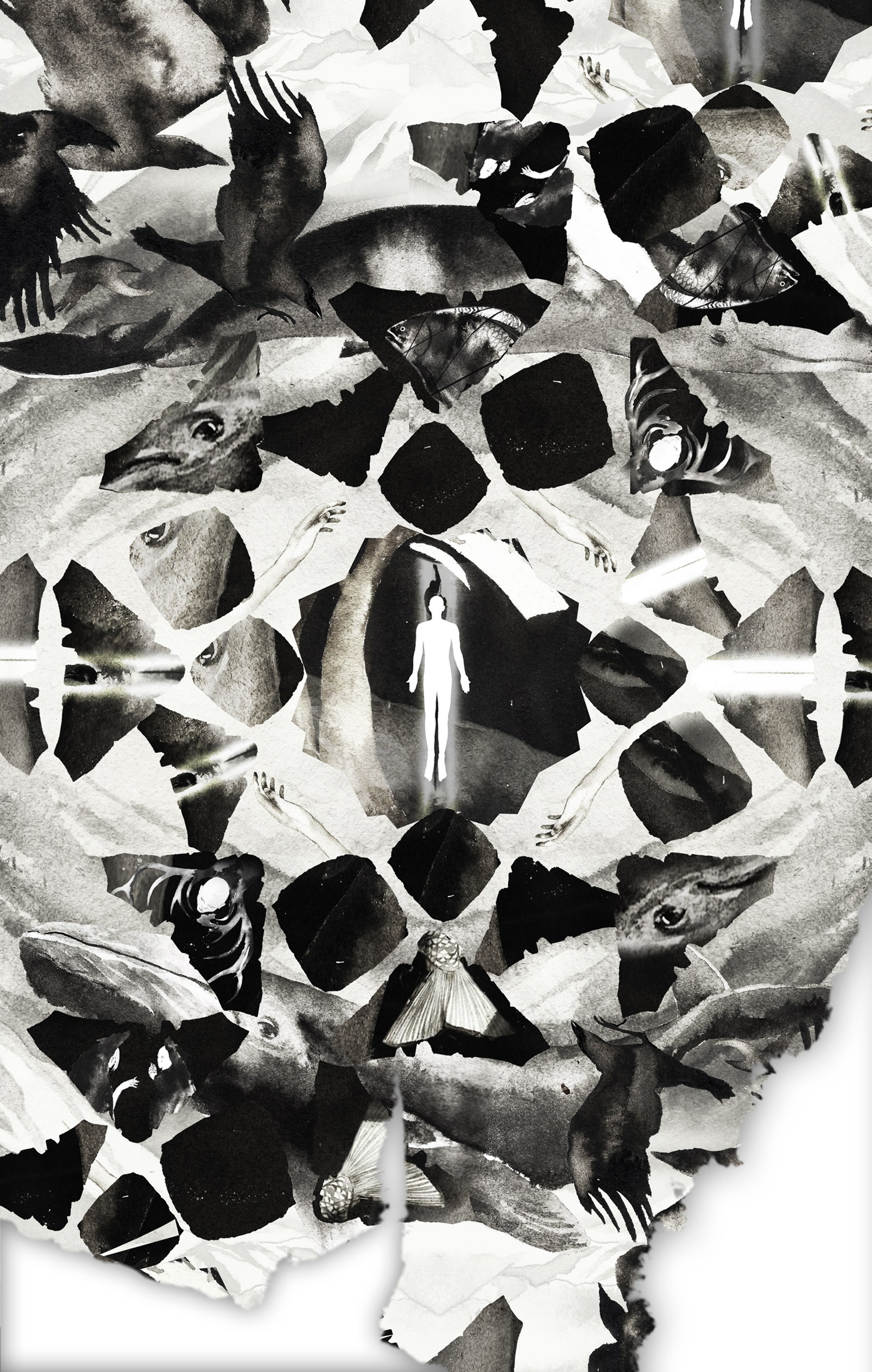 Illustrations. Artist, photographer, graphic designer, dreamer