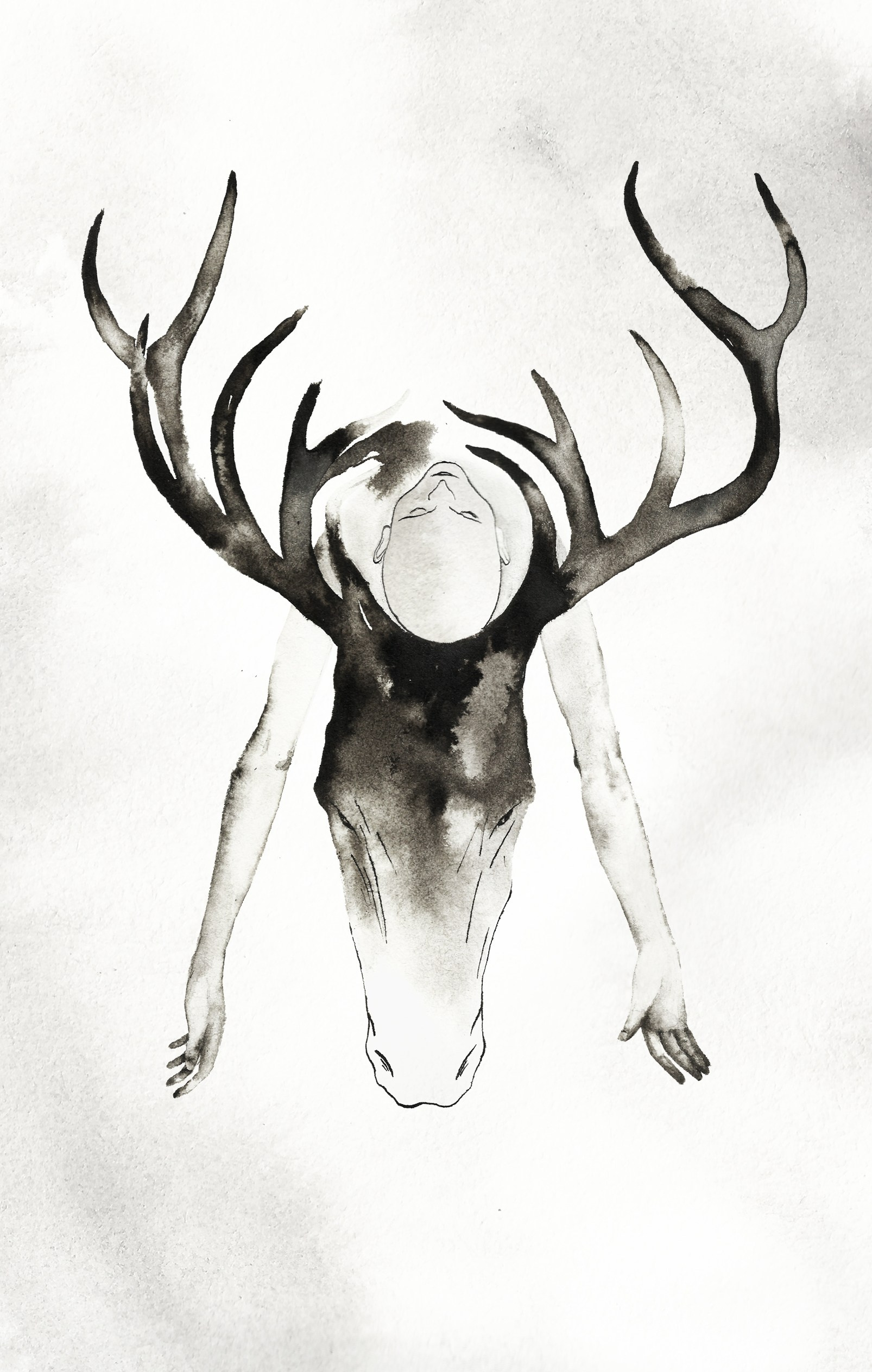 Illustrations. Artist, photographer, graphic designer, dreamer