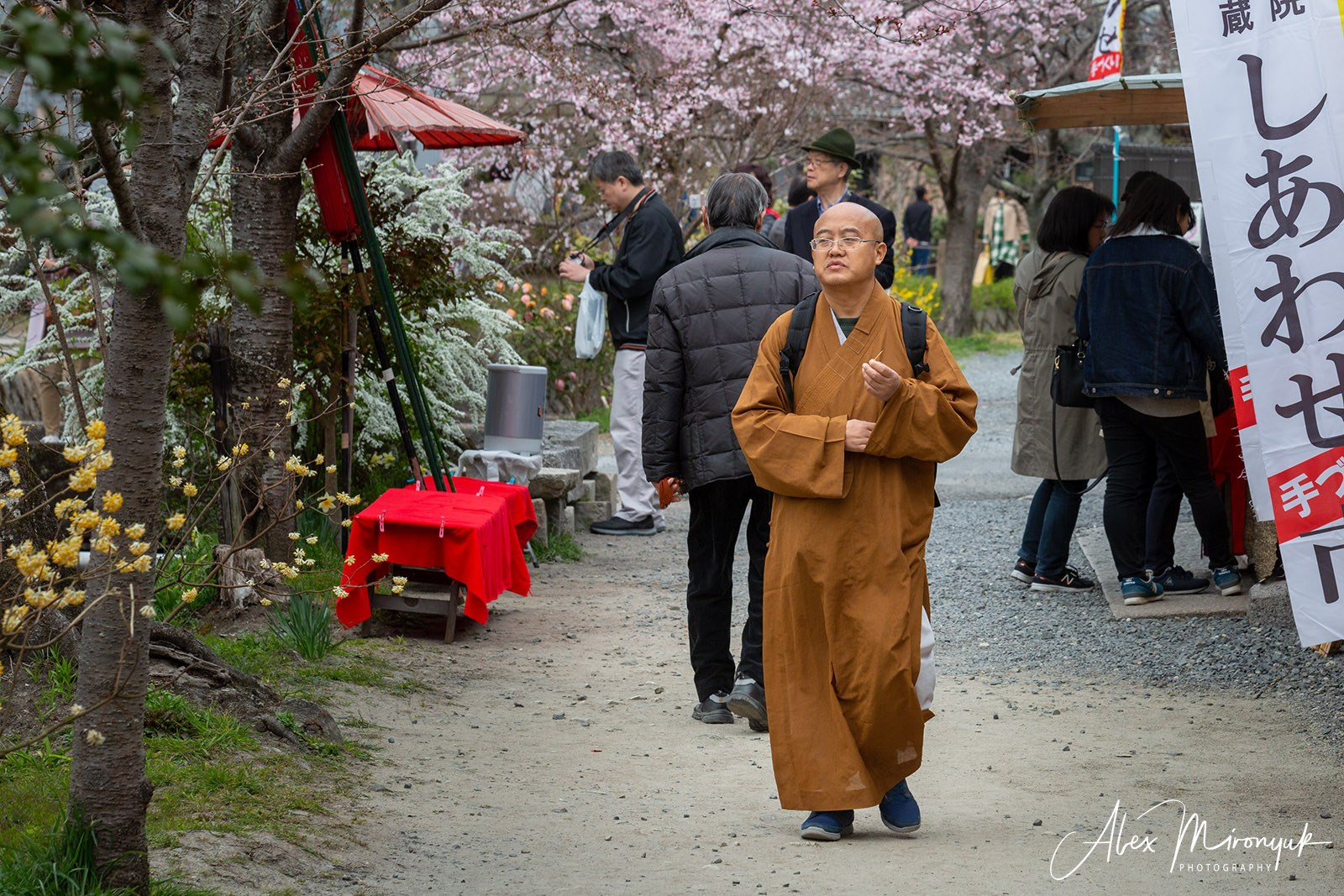 Hanami Season in Japan. Pet, Senior, Landscape, portrait studio, photographer in Miami and Sou