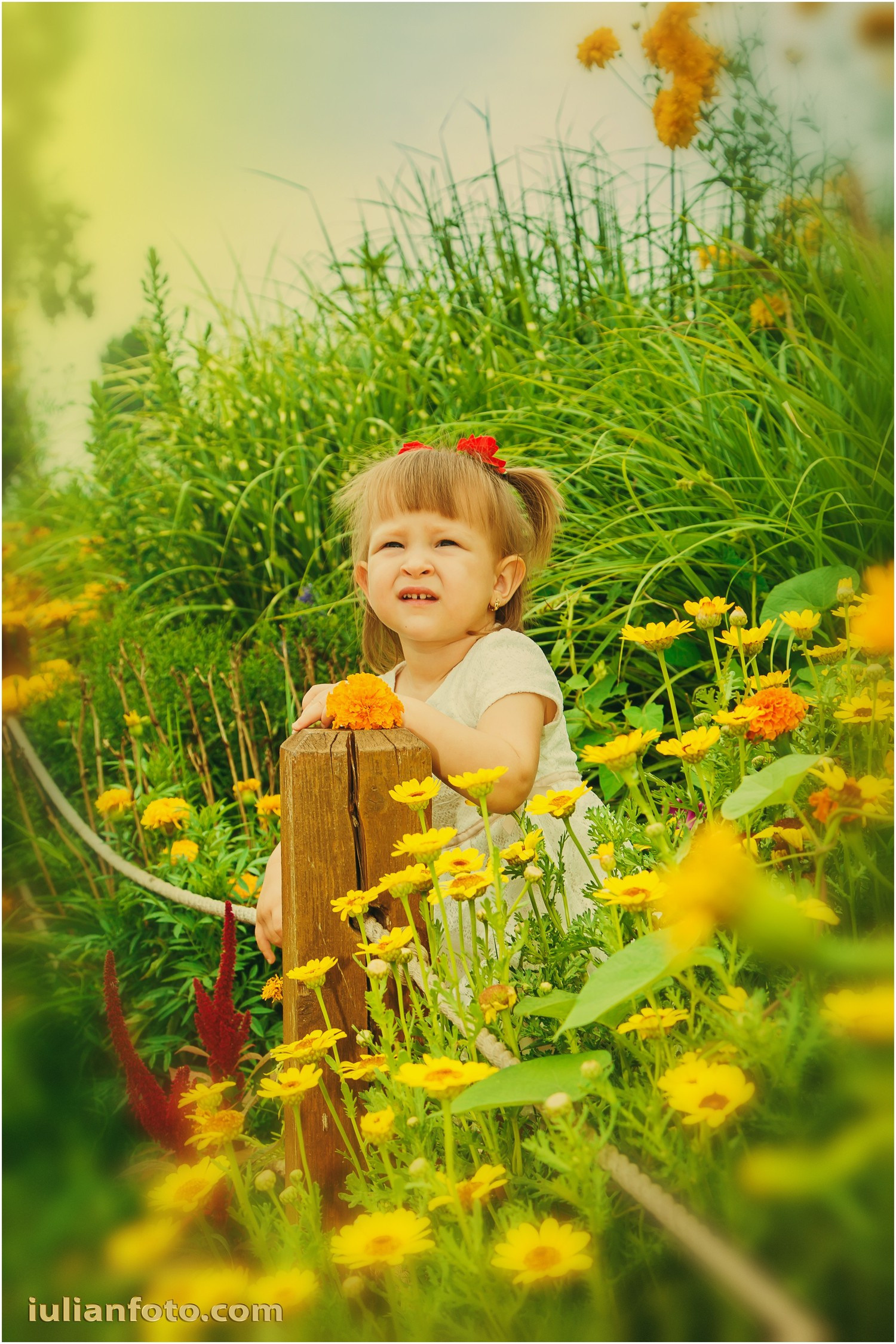 Fotograf de Nuntă | Familie | Portret - Iulian Doroganici