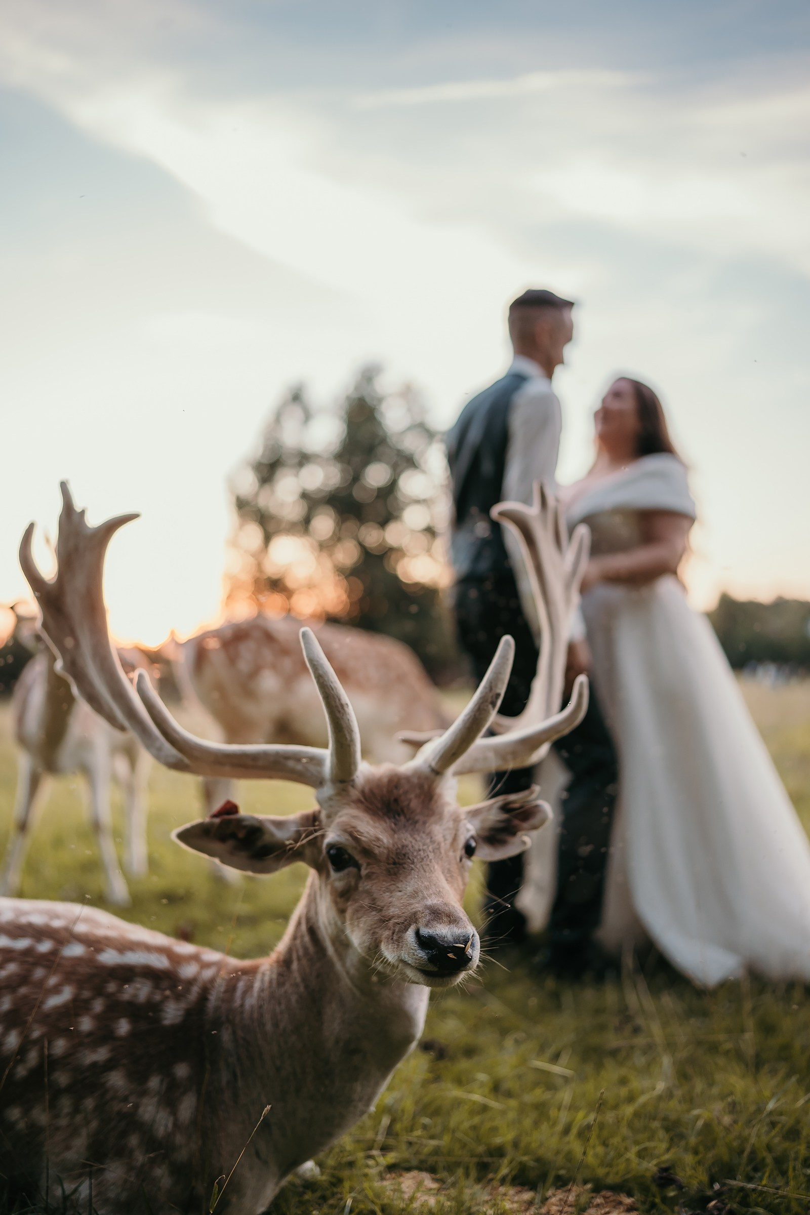 Almonika photo — fotografė Vilniuje