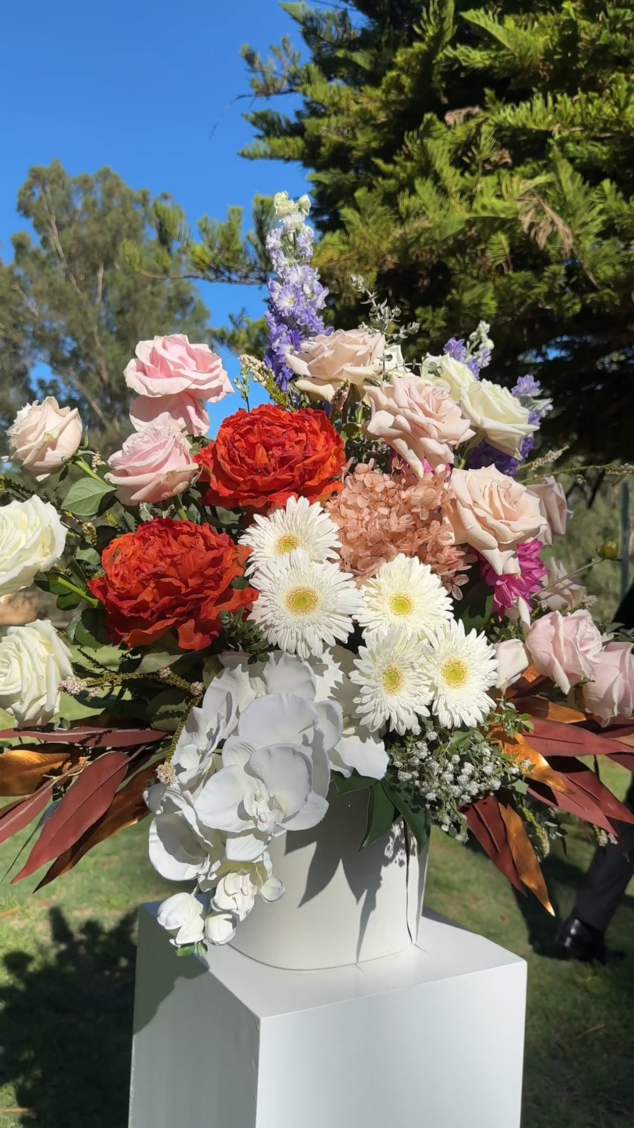 Nia. Arts in Motion | Wedding Photographer — Videographer in Perth, Western Australia