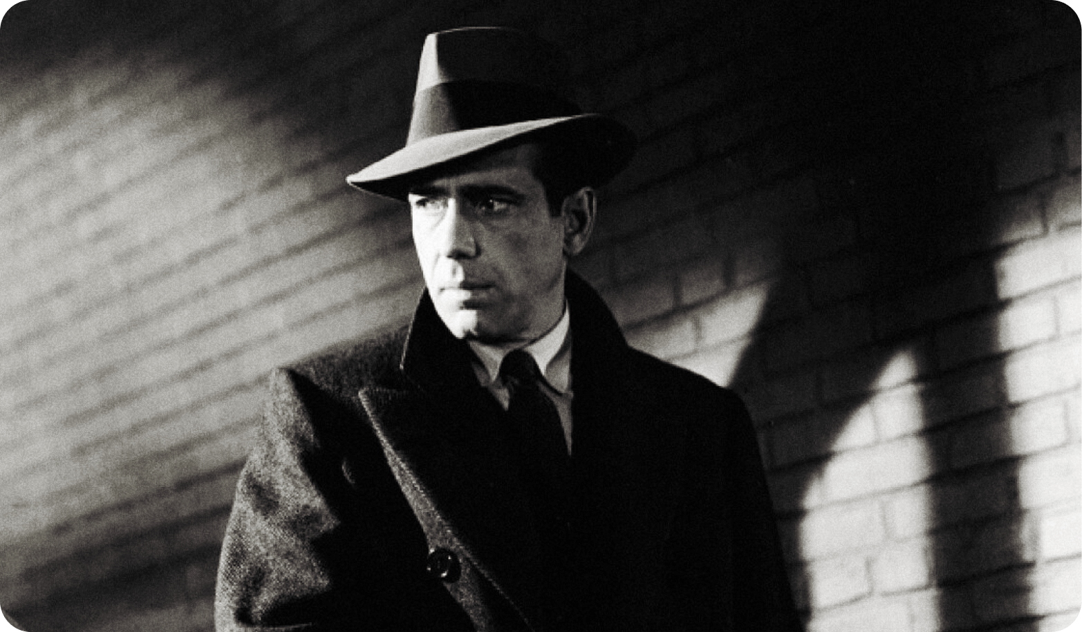 «He's a Killer When He Hates!»