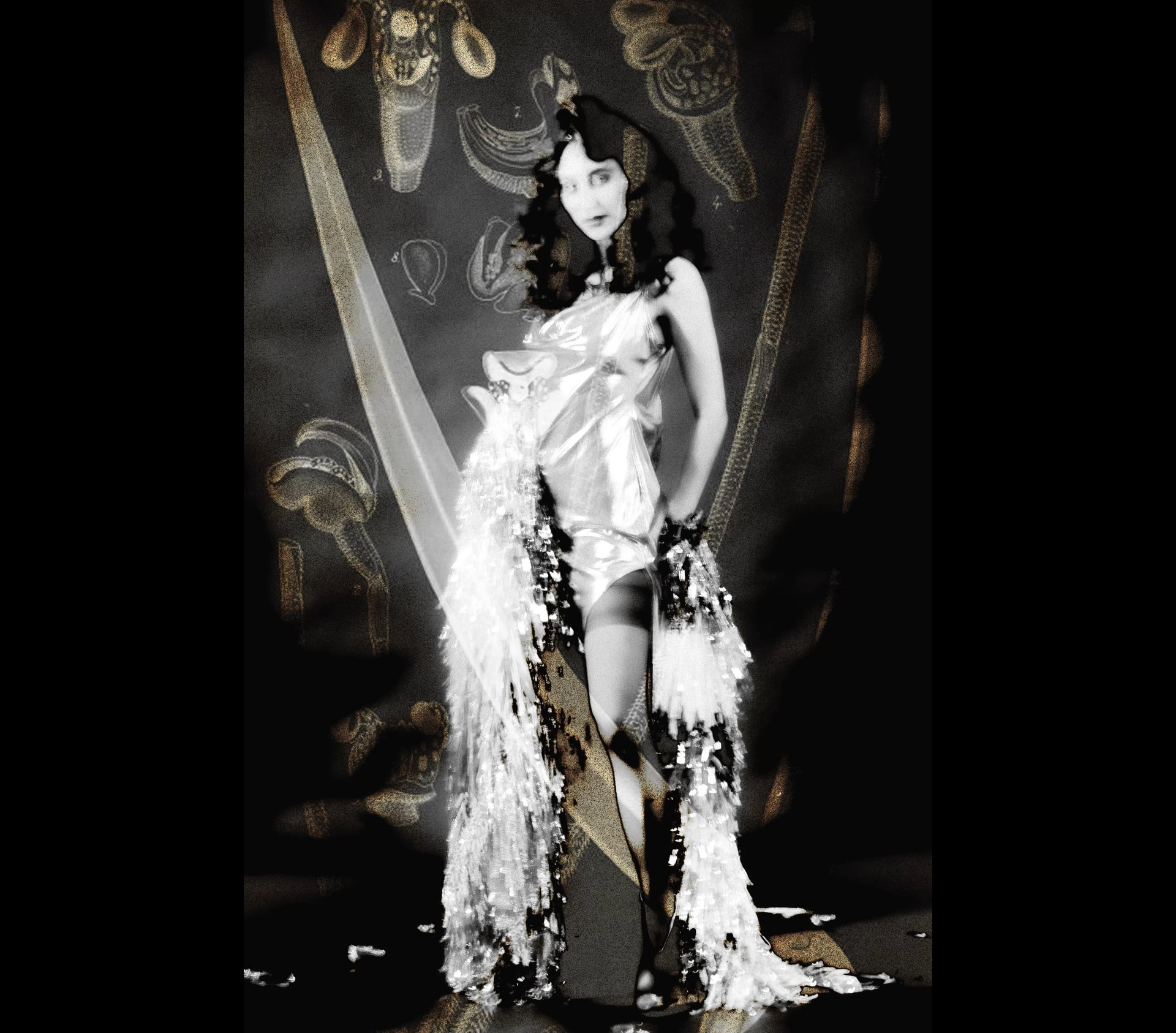 VANESA PROJECT. Anna Miyauchi