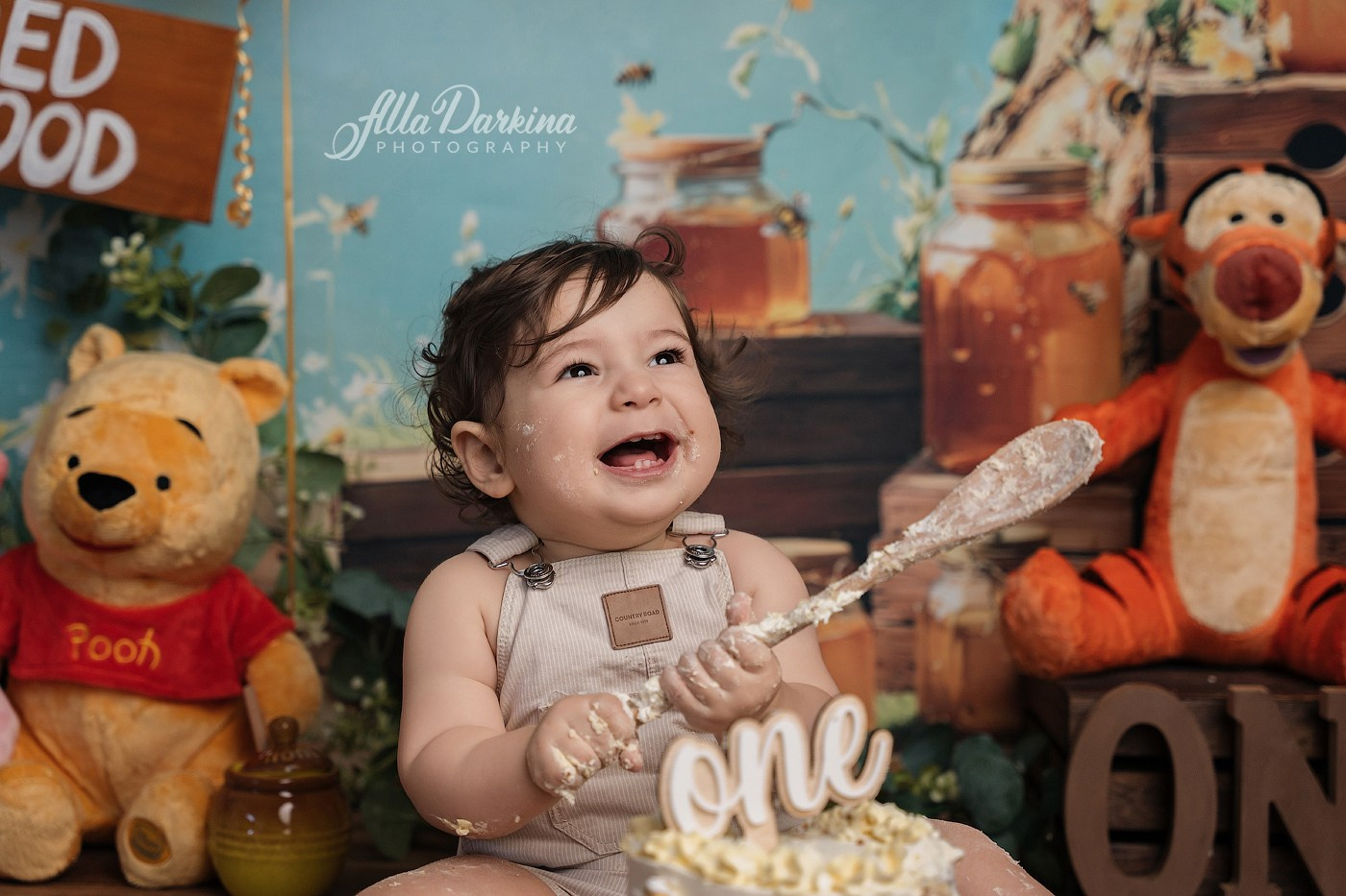 Arta’s “Winnie The Pooh” cake smash session