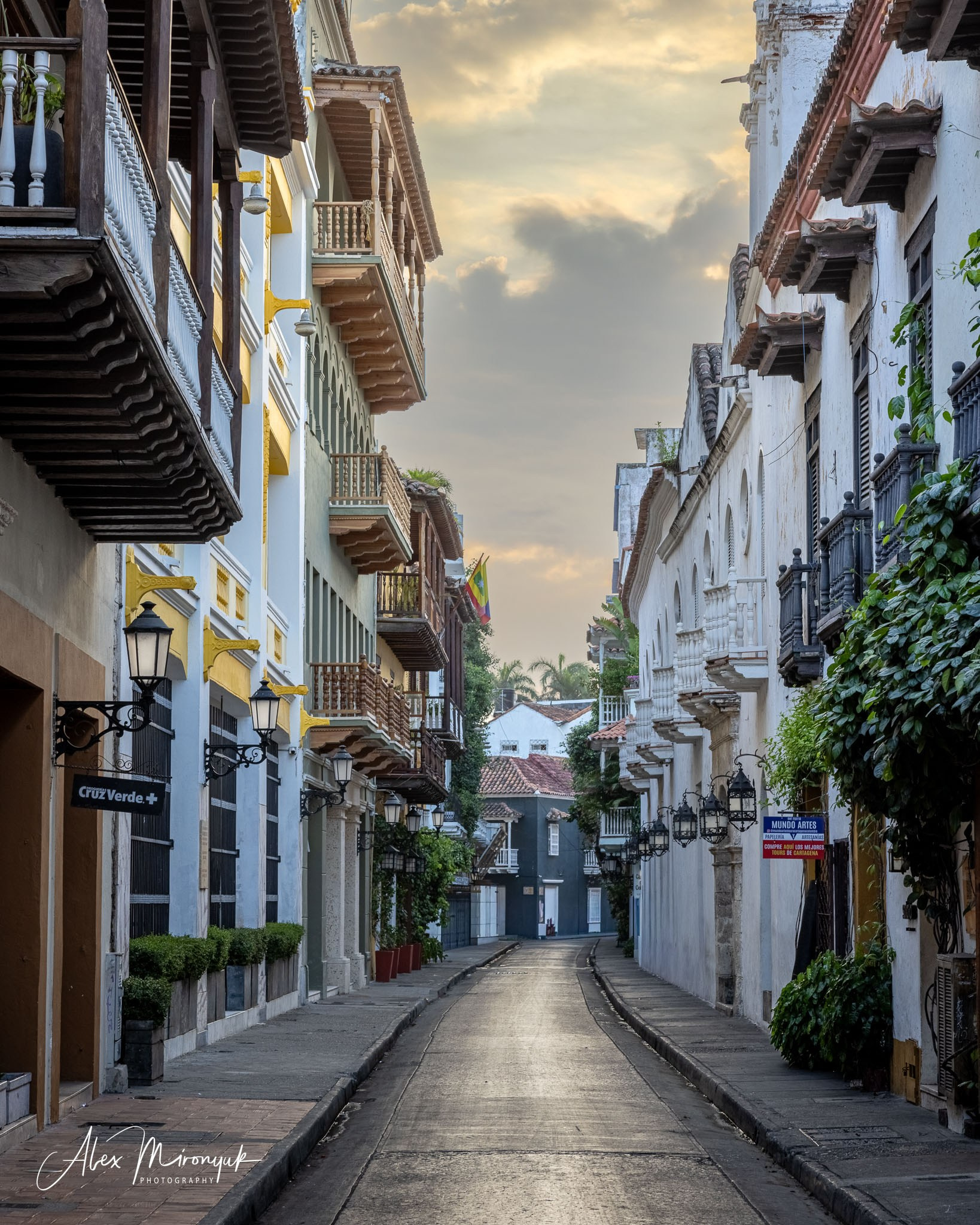 Colombia in Style. Pet, Senior, Landscape, portrait studio, photographer in Miami and Sou