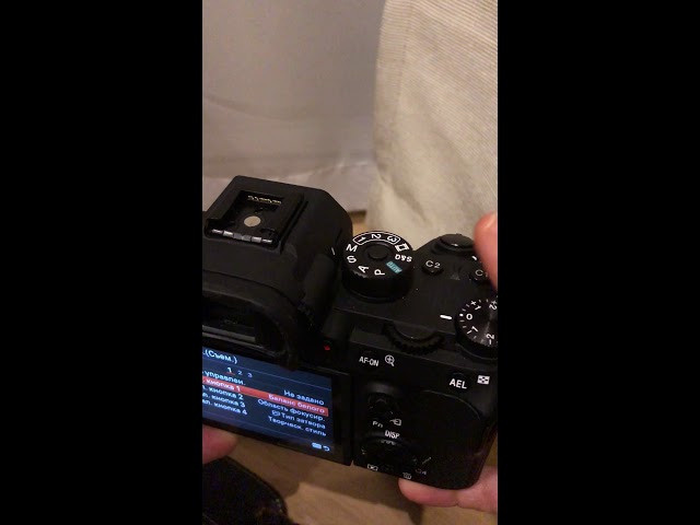 Основные настройки Sony. Children’s and family photographer Anna Krasovitskaya