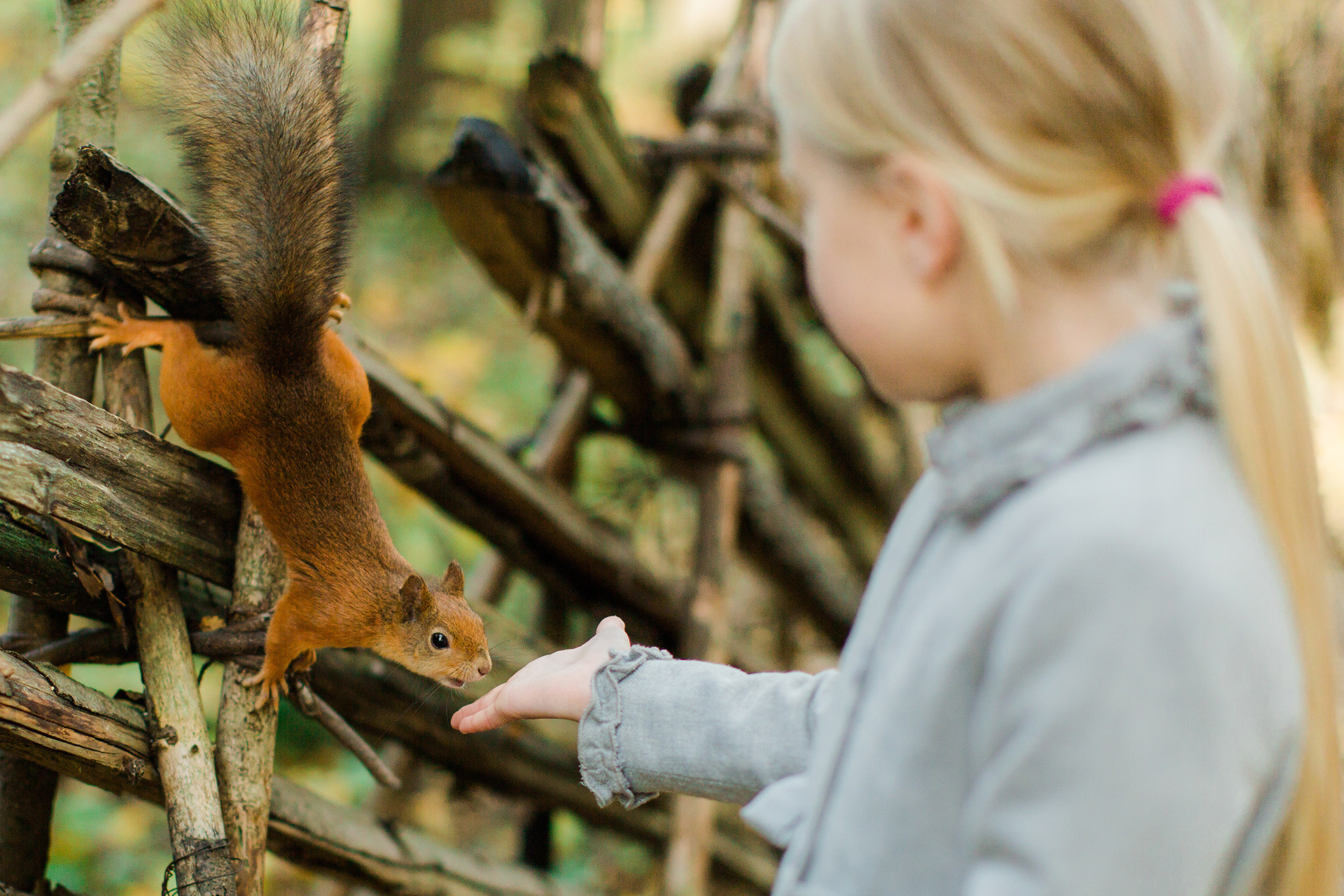 Helsingin parhaat kuvauspaikat